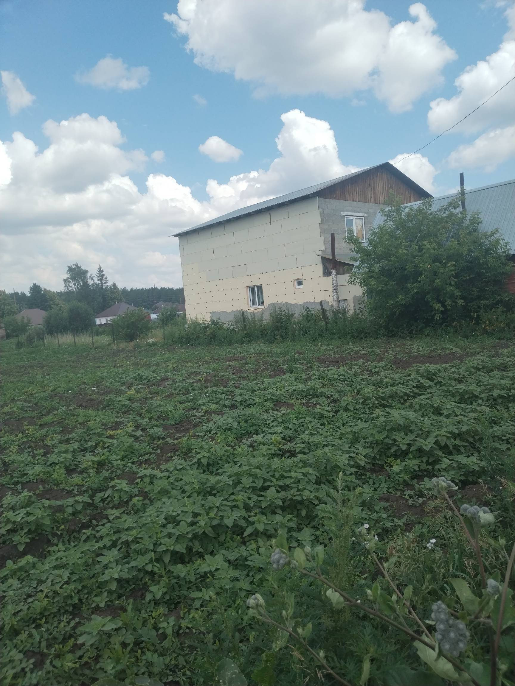 Ягодное алтайский край. Ягодное барнаул поселок. Пос ягодное барнаул. Село лебяжье барнаул. Ягодное алтайский край.