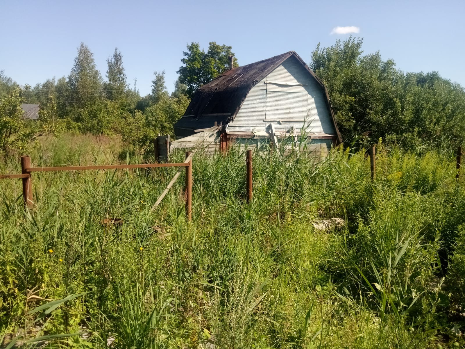 Купить Дачу В Березовой Пойме Нижегородской Области