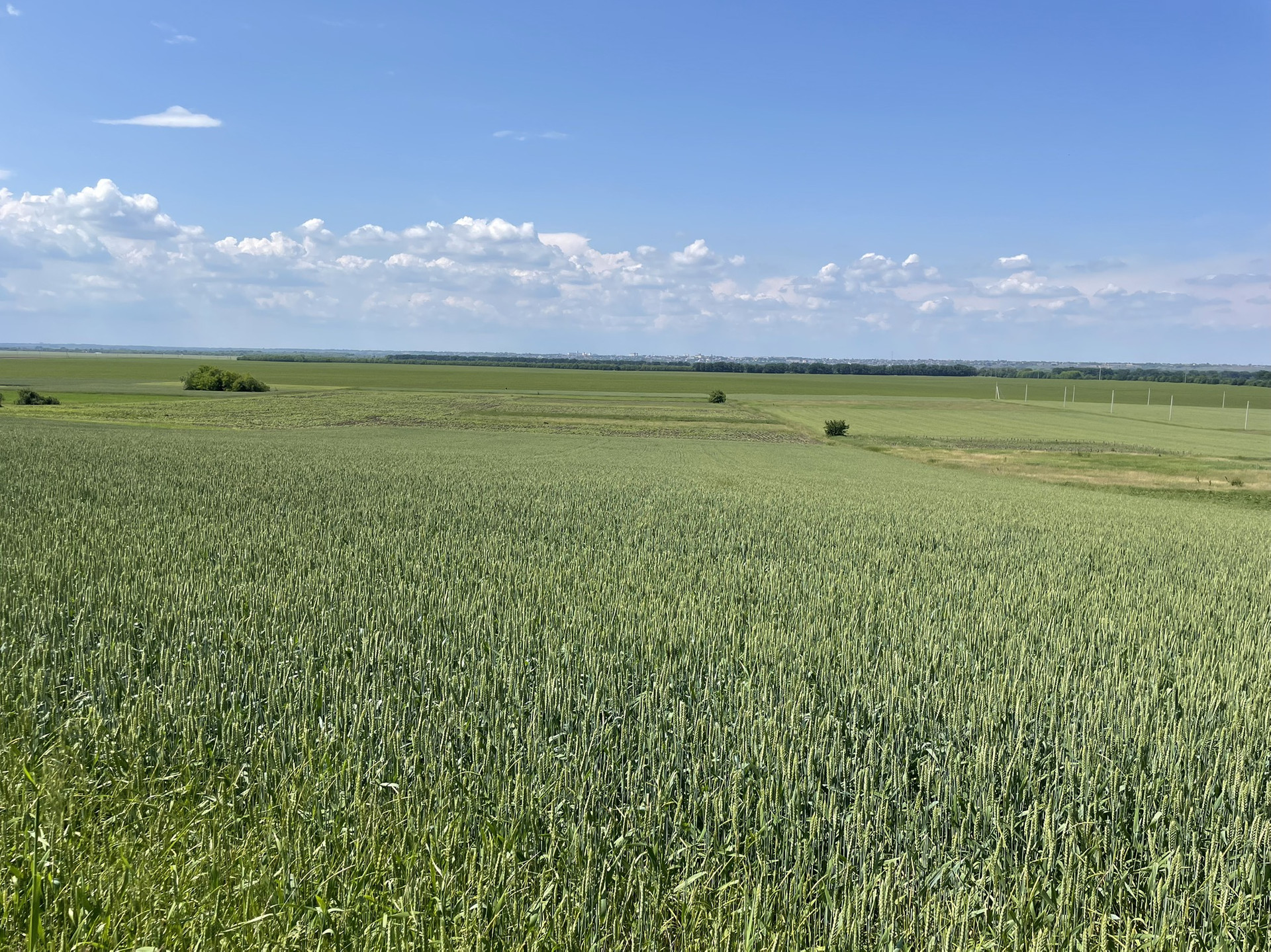 Купить Дом Краснодарский Край Усть Лабинский Район