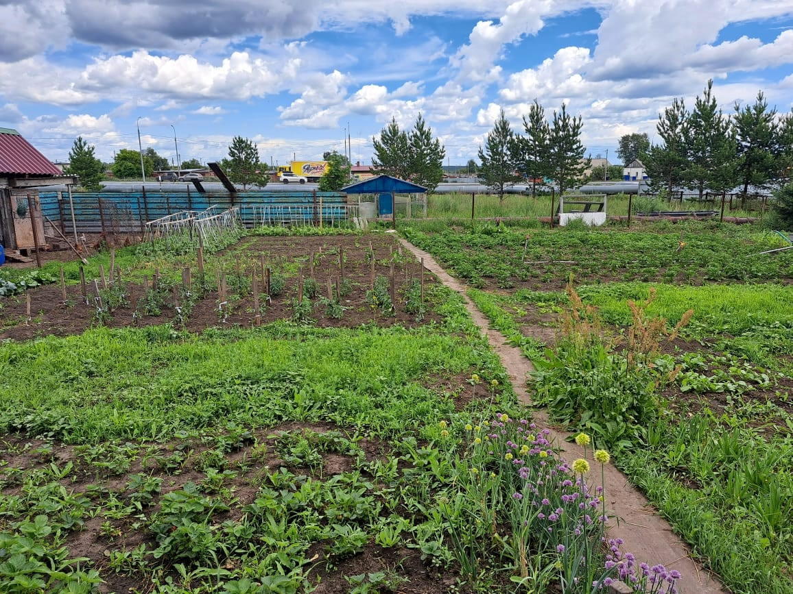 Купить Дом В Искитимском Районе Г Новосибирск