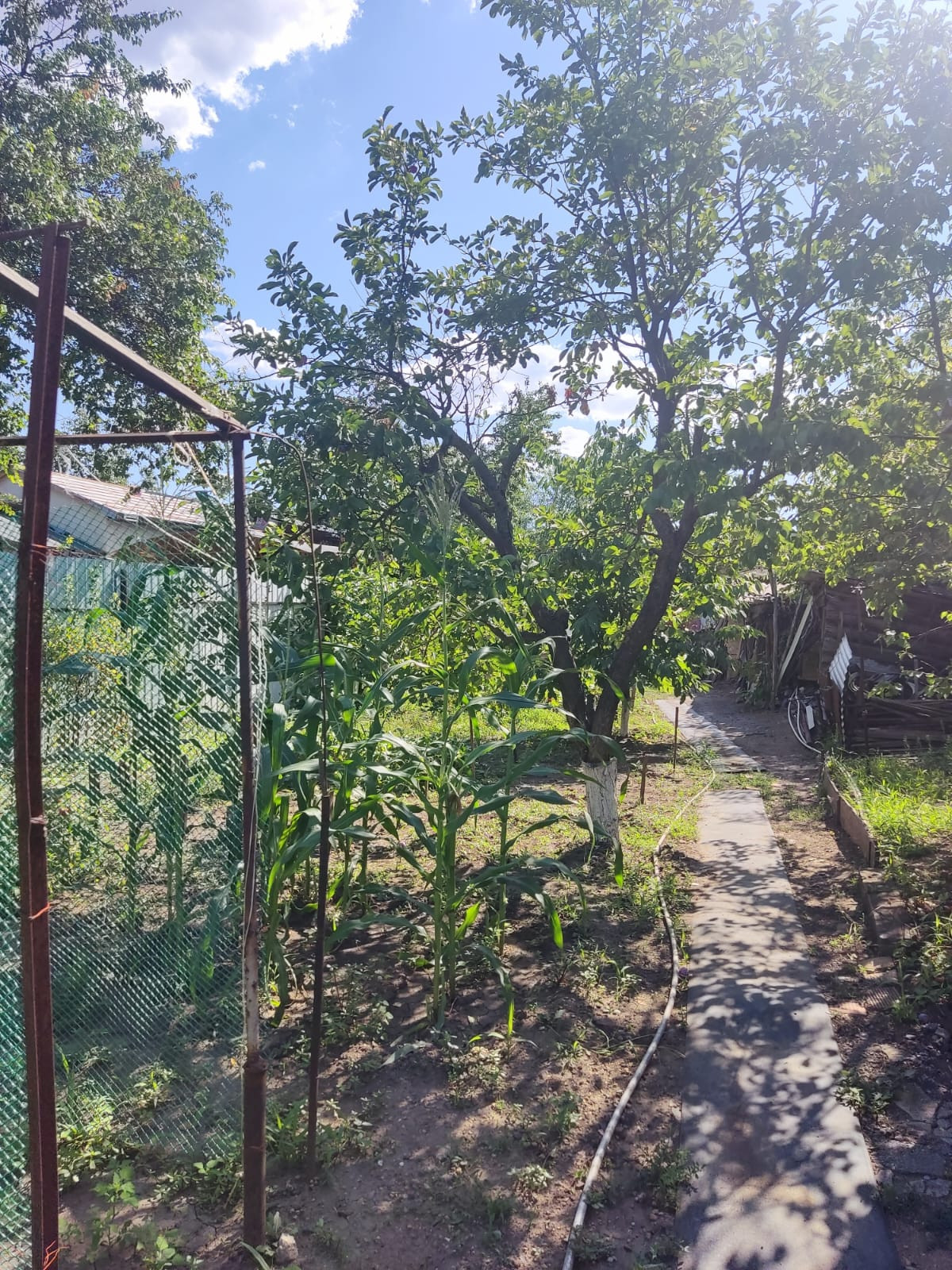 Купить Дом В Центре Новочеркасска