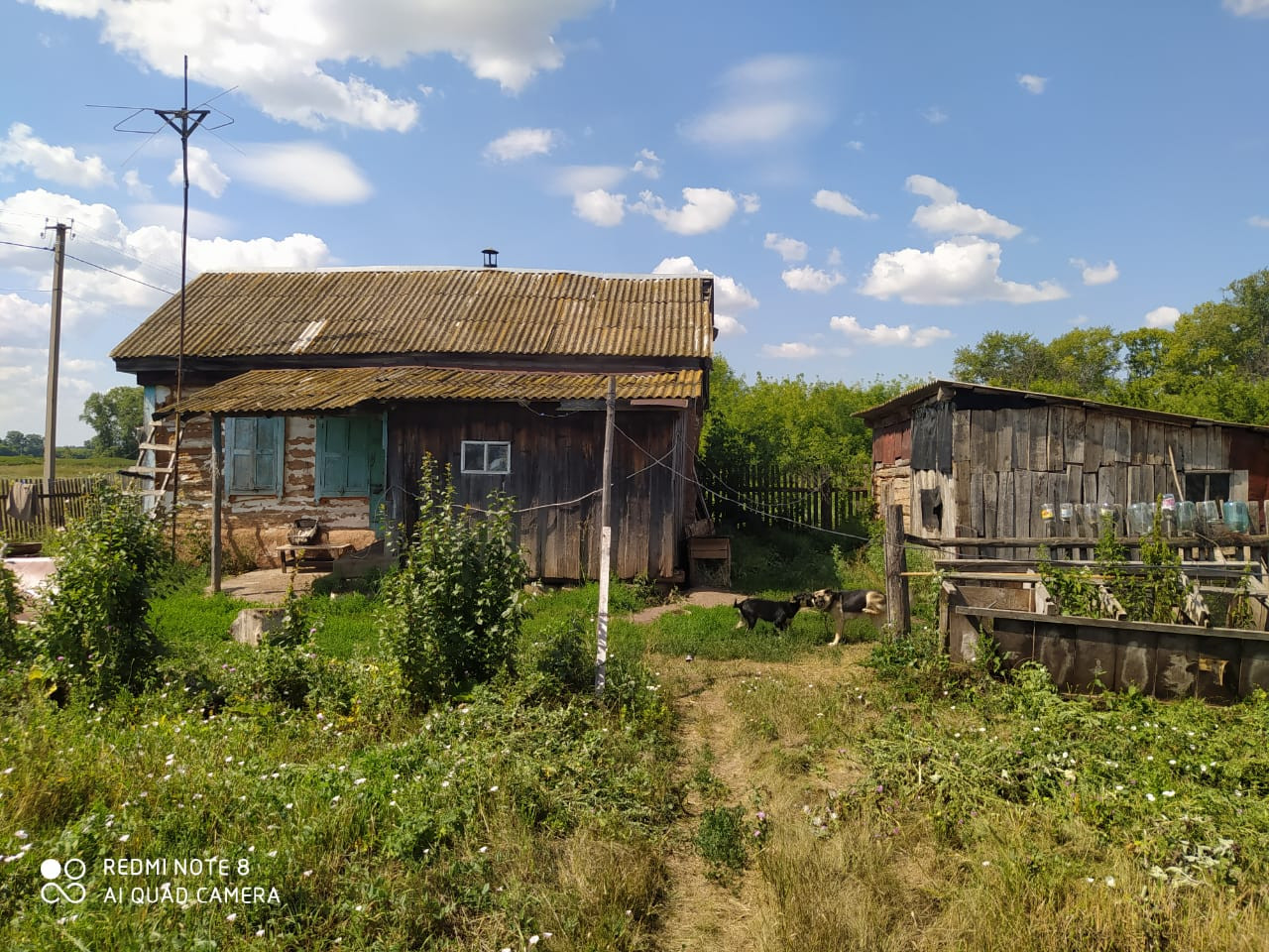 Купить дом, 29 м² по адресу Республика Башкортостан, Чишминский район,  Шингак-Кульский сельсовет, деревня Пасяковка за 600 000 руб. в Домклик —  поиск, проверка, безопасная сделка с жильем в офисе Сбербанка.