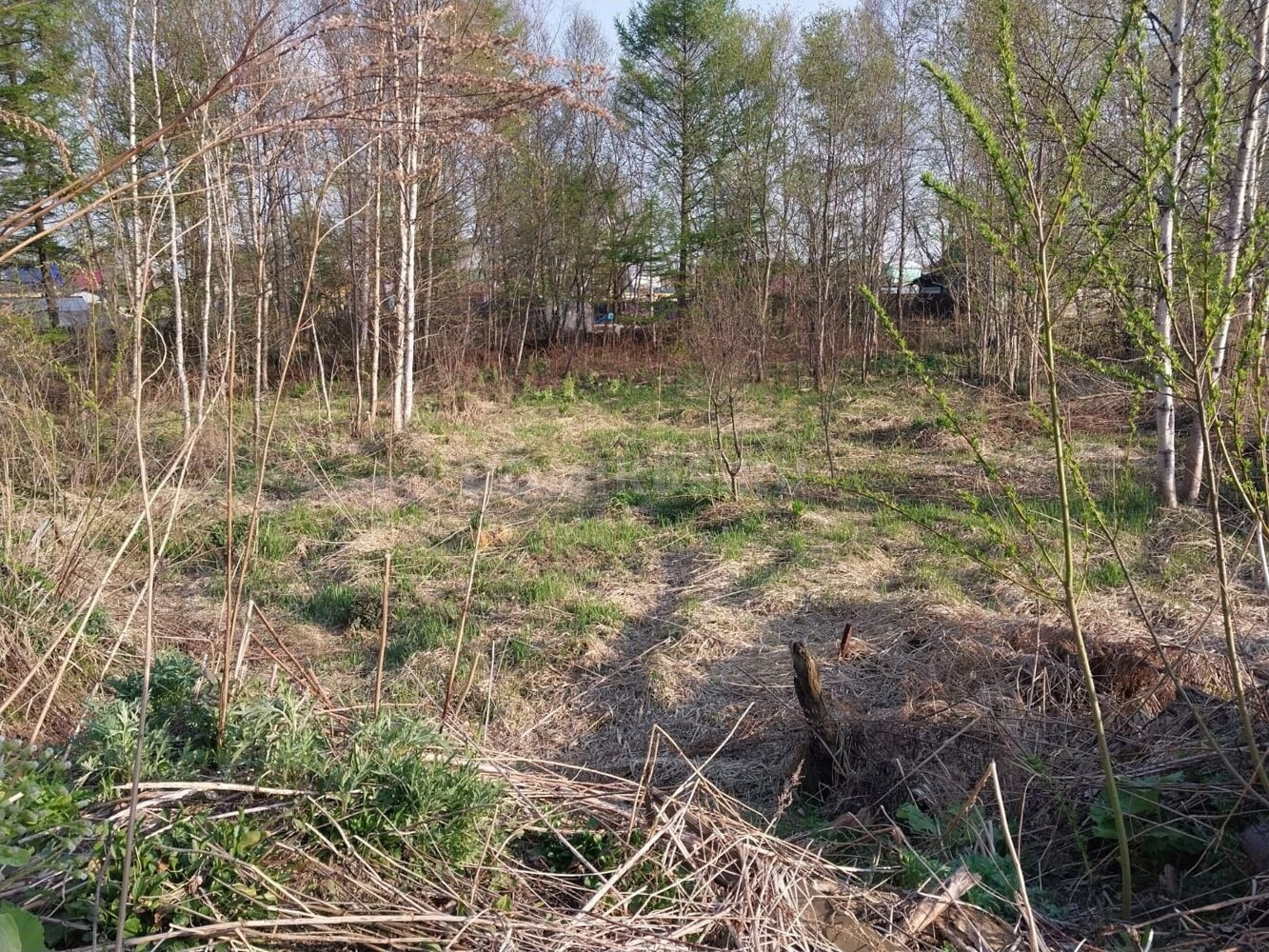 снт искатель. снт искатель. снт искатель москва. снт искатель. снт искатель.