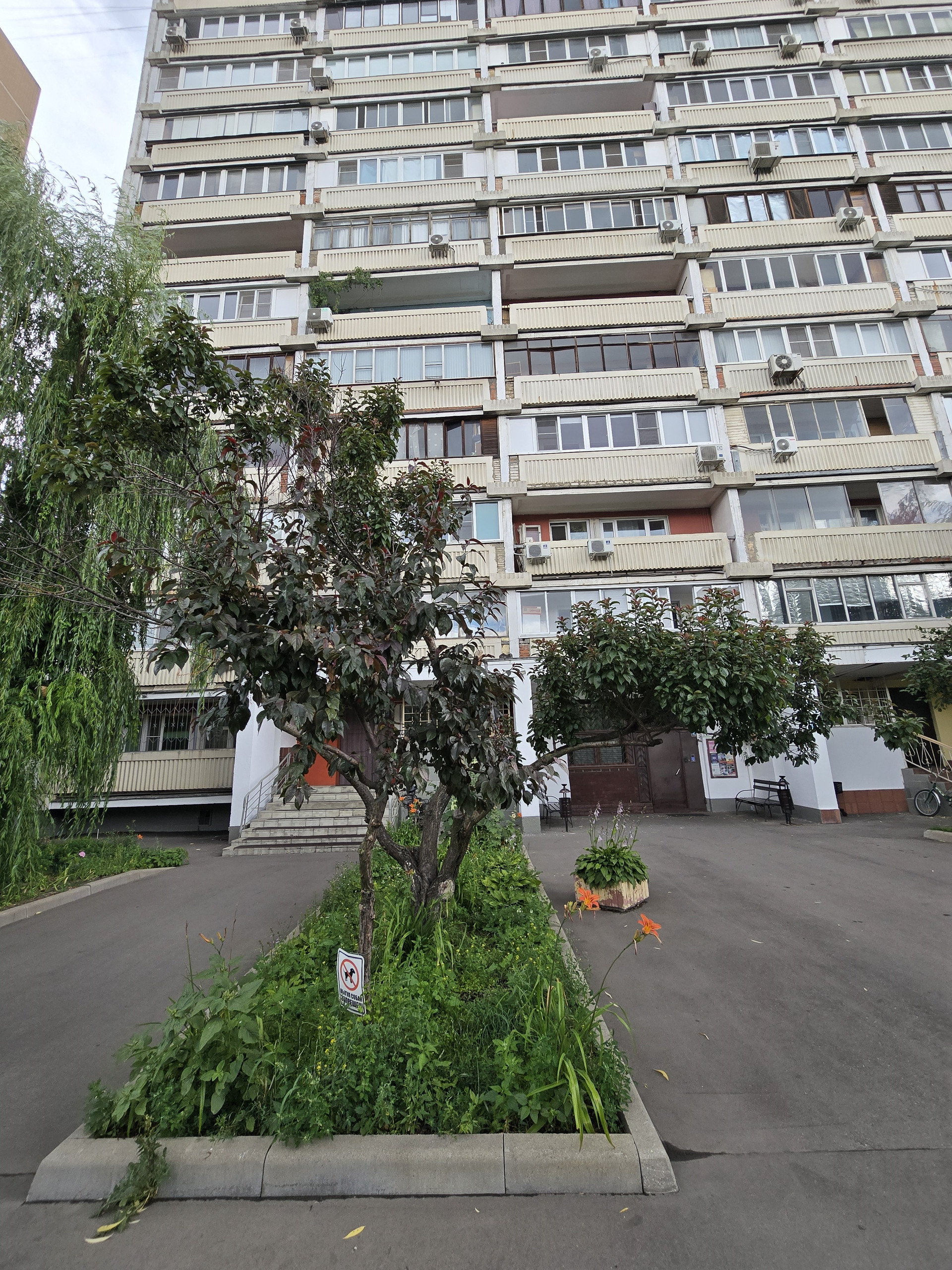Москва, к4, к4 - Vista 5