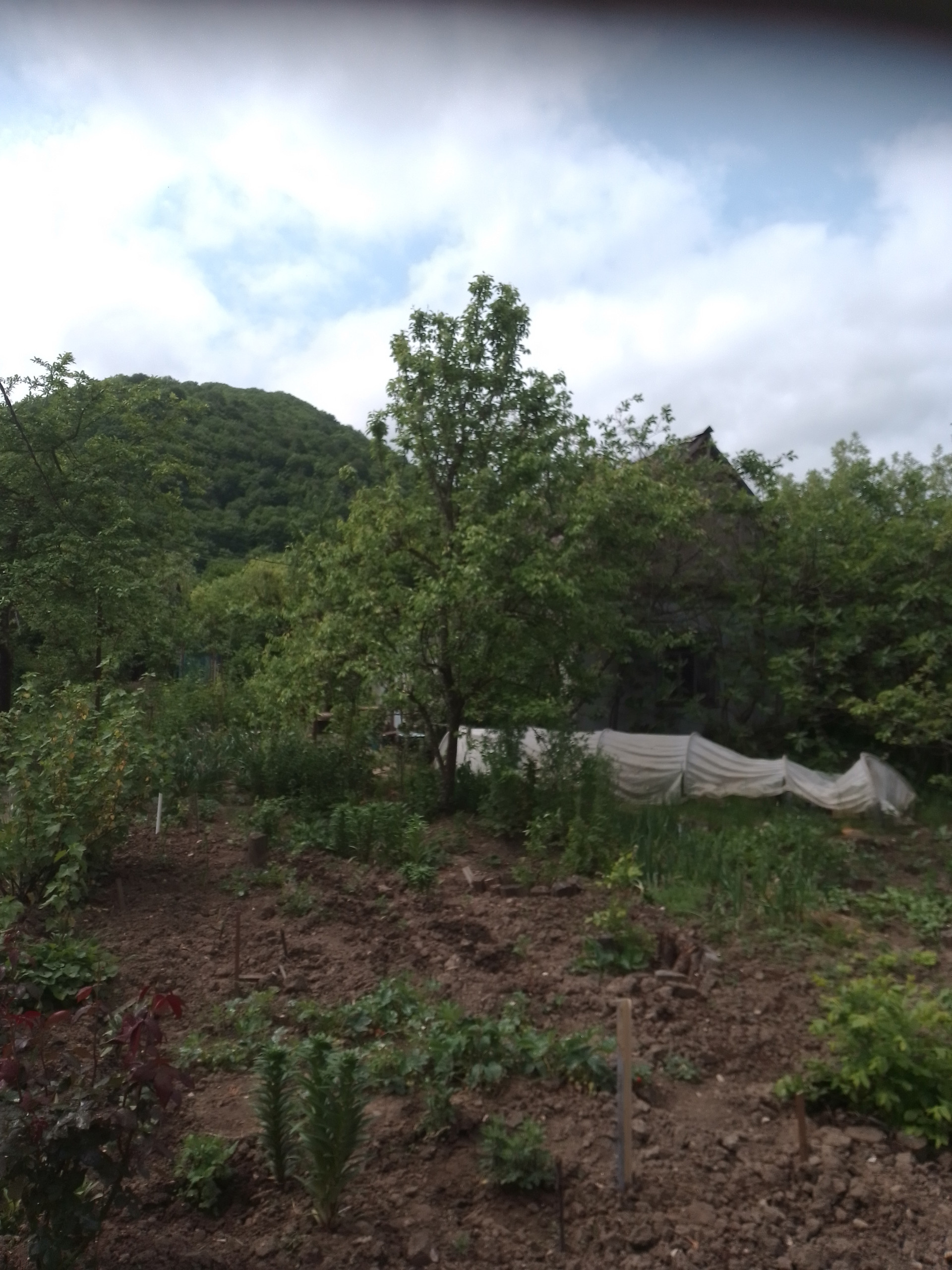 Металлические дома в Пшада купить Металлические дома в Пшада купить