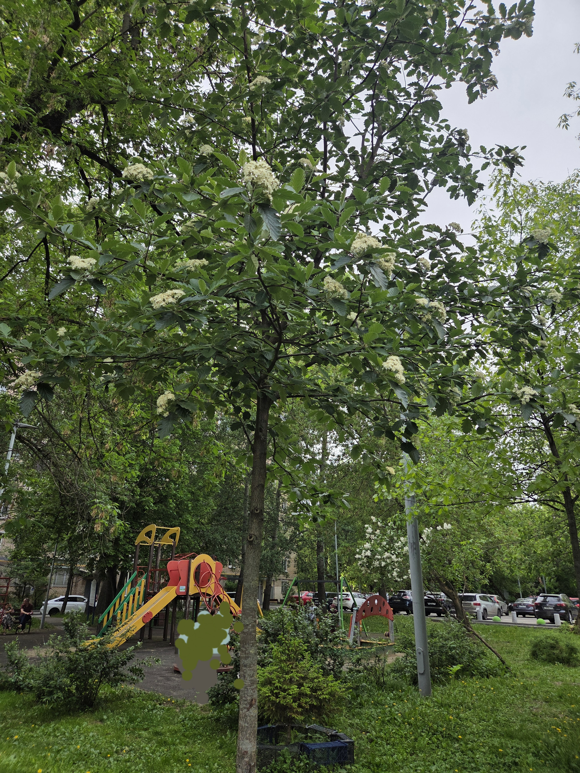 Москва, Петровско-Разумовский проезд, 10 - Bild 4
