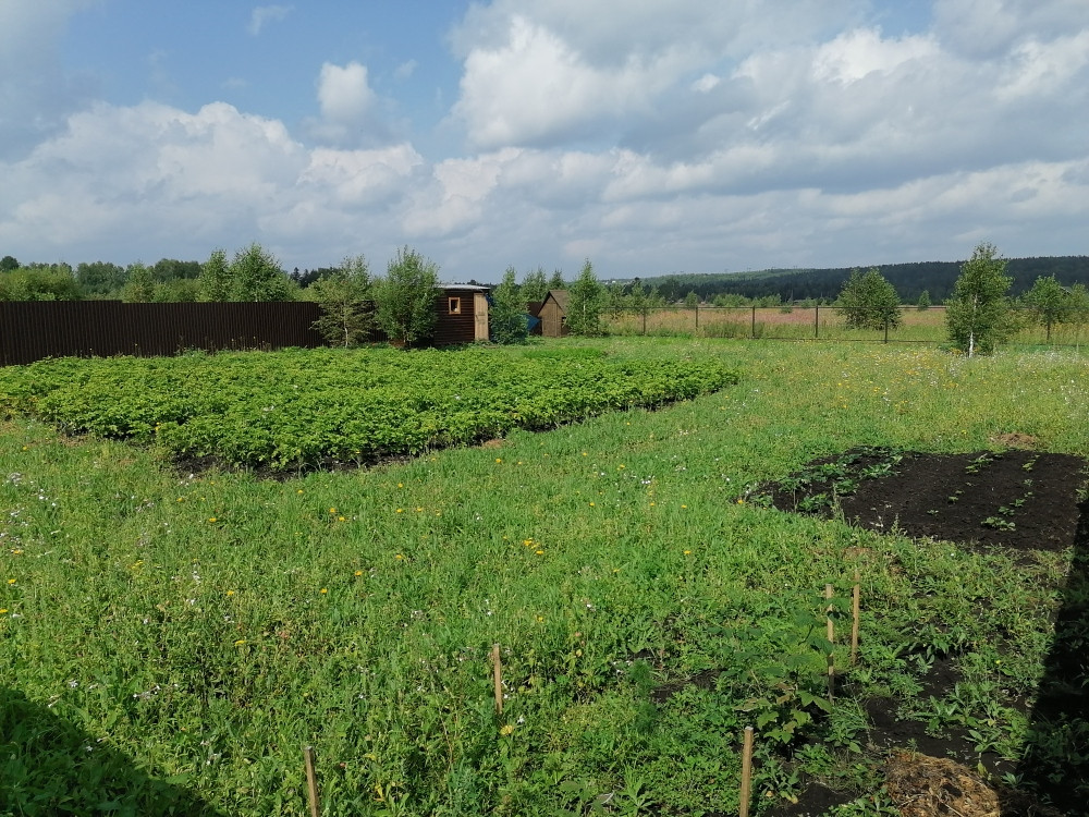 Купить Дачу Станция Минино Красноярский Край