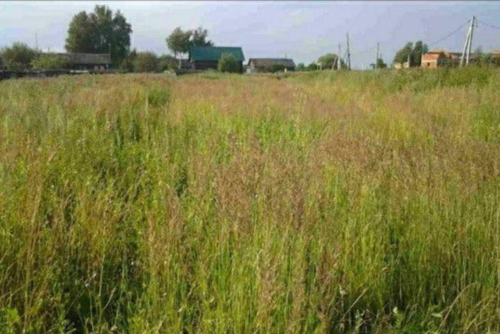 Купить Участок В П Садовый Суздальского Района