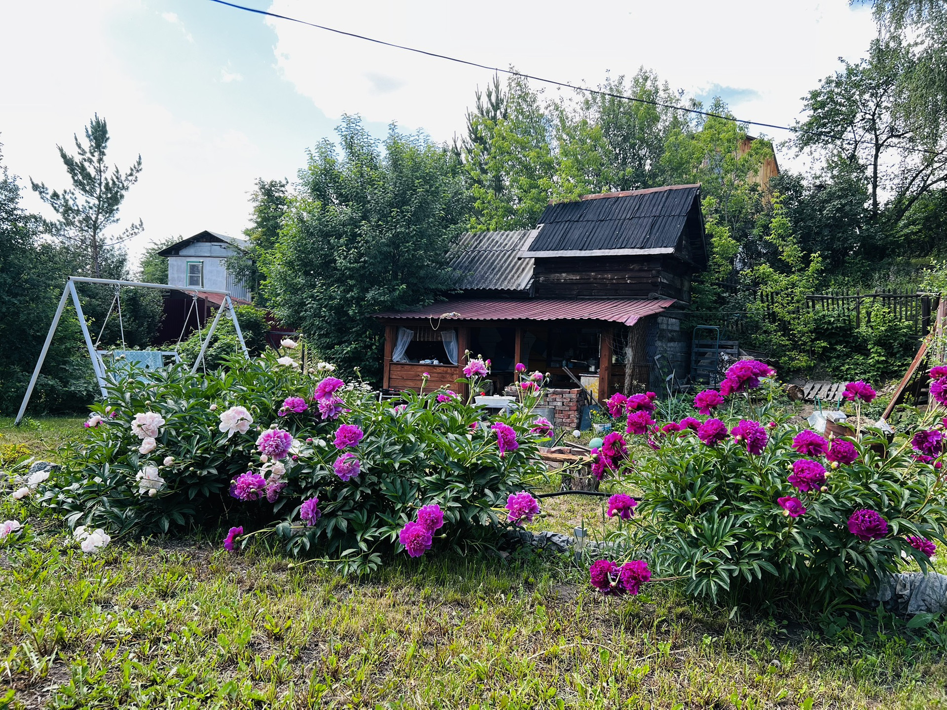 Снт Обь 1 Барнаул Купить Дачу