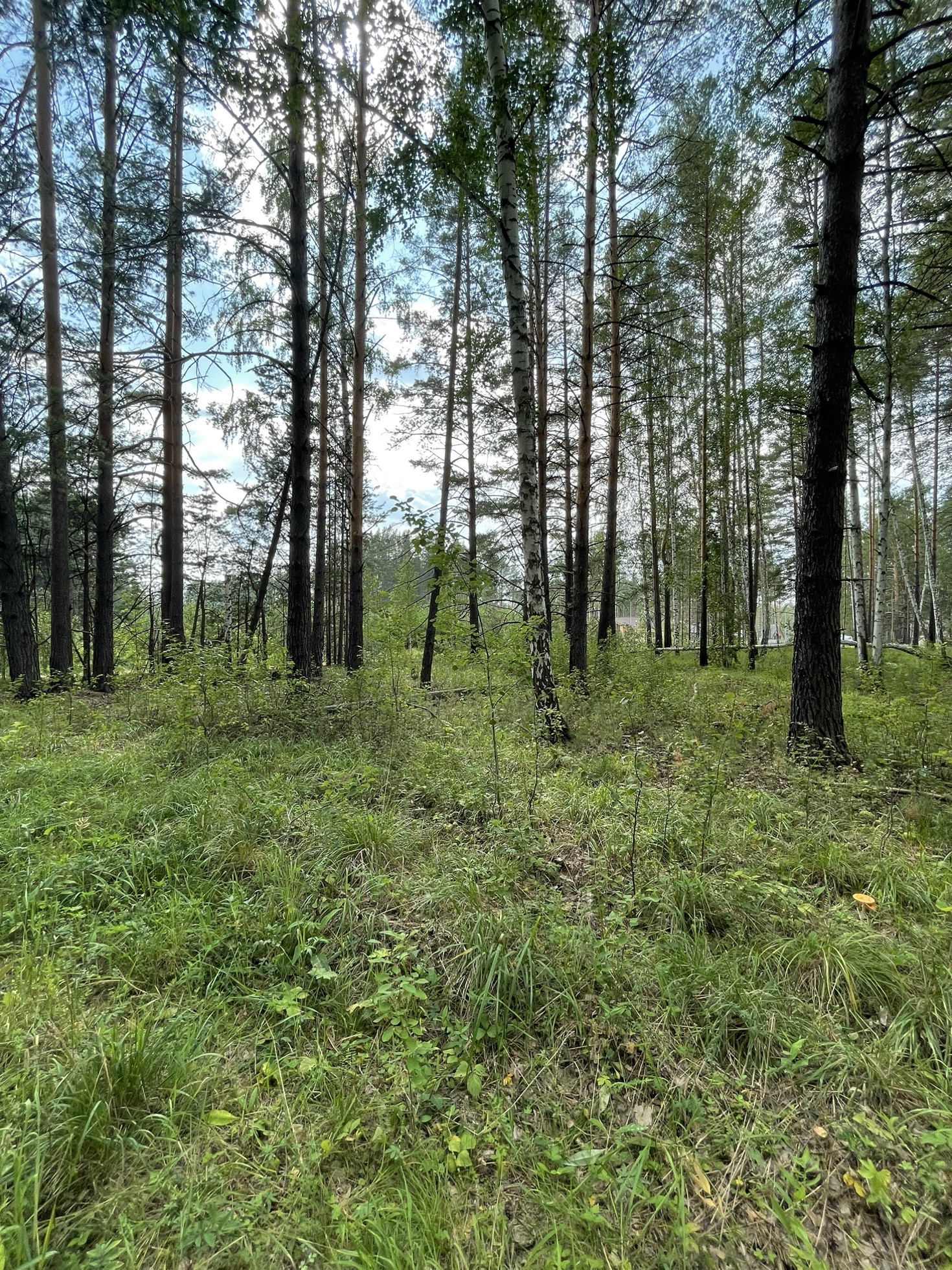 Купить Участки Ижс Свердловская Область