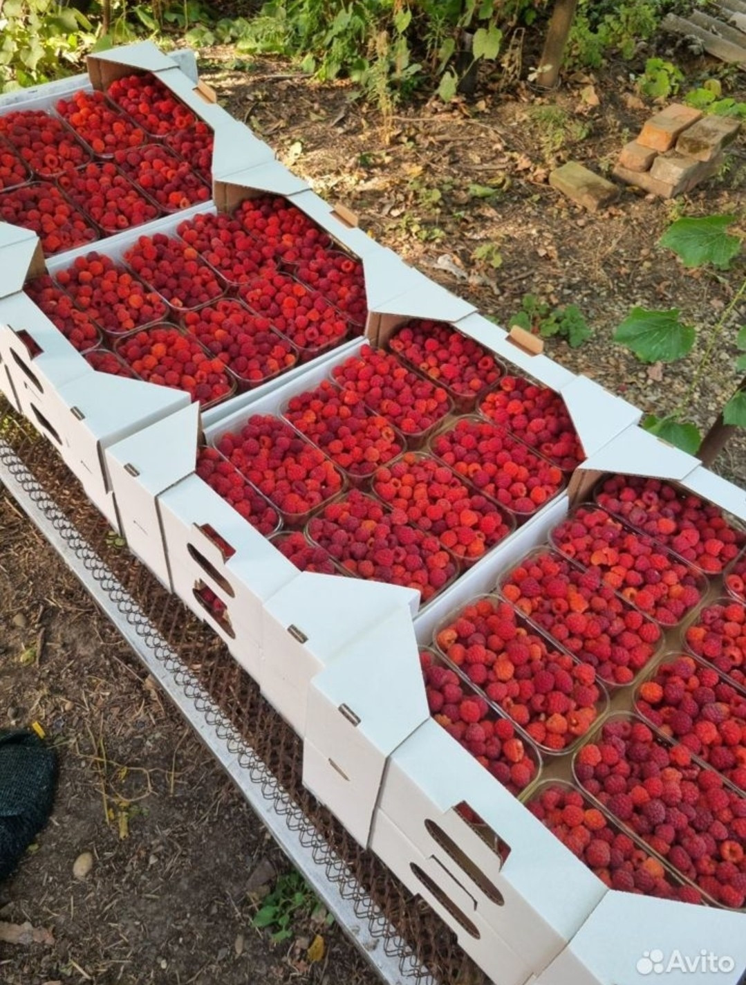 Купить Дом Село Великовечное Белореченского Района