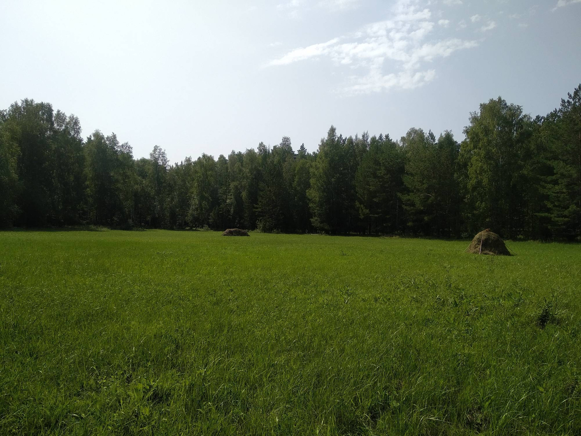 Погода в колташево курганской