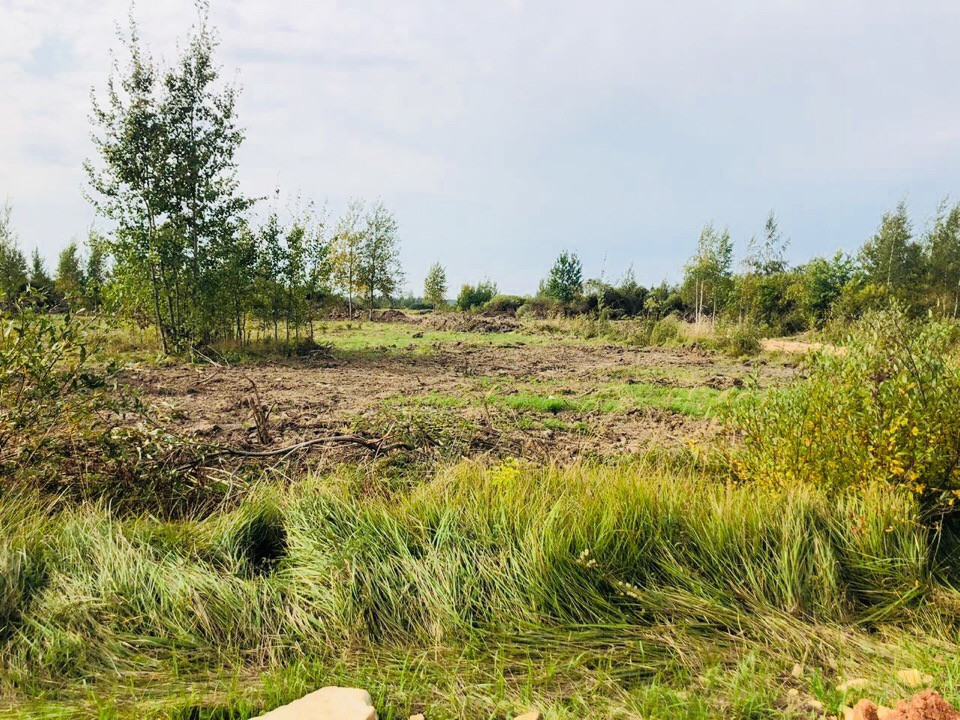 Ижс новгородская область. Деревня Лешино Новгородский район. Деревня Лешино Новгородская область. Новгородский район д Лешино 2в.