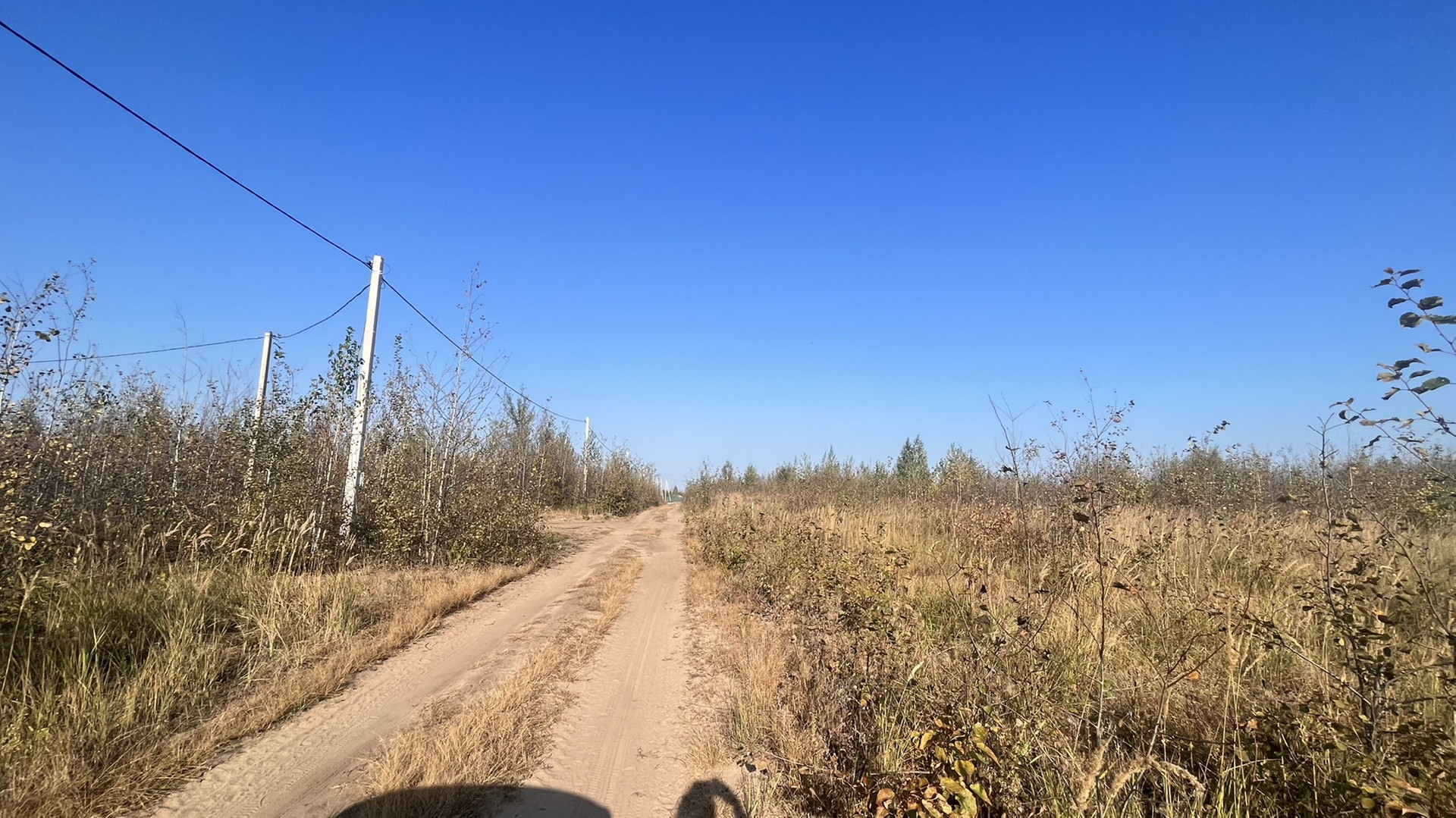 Деревня медовка воронежская область