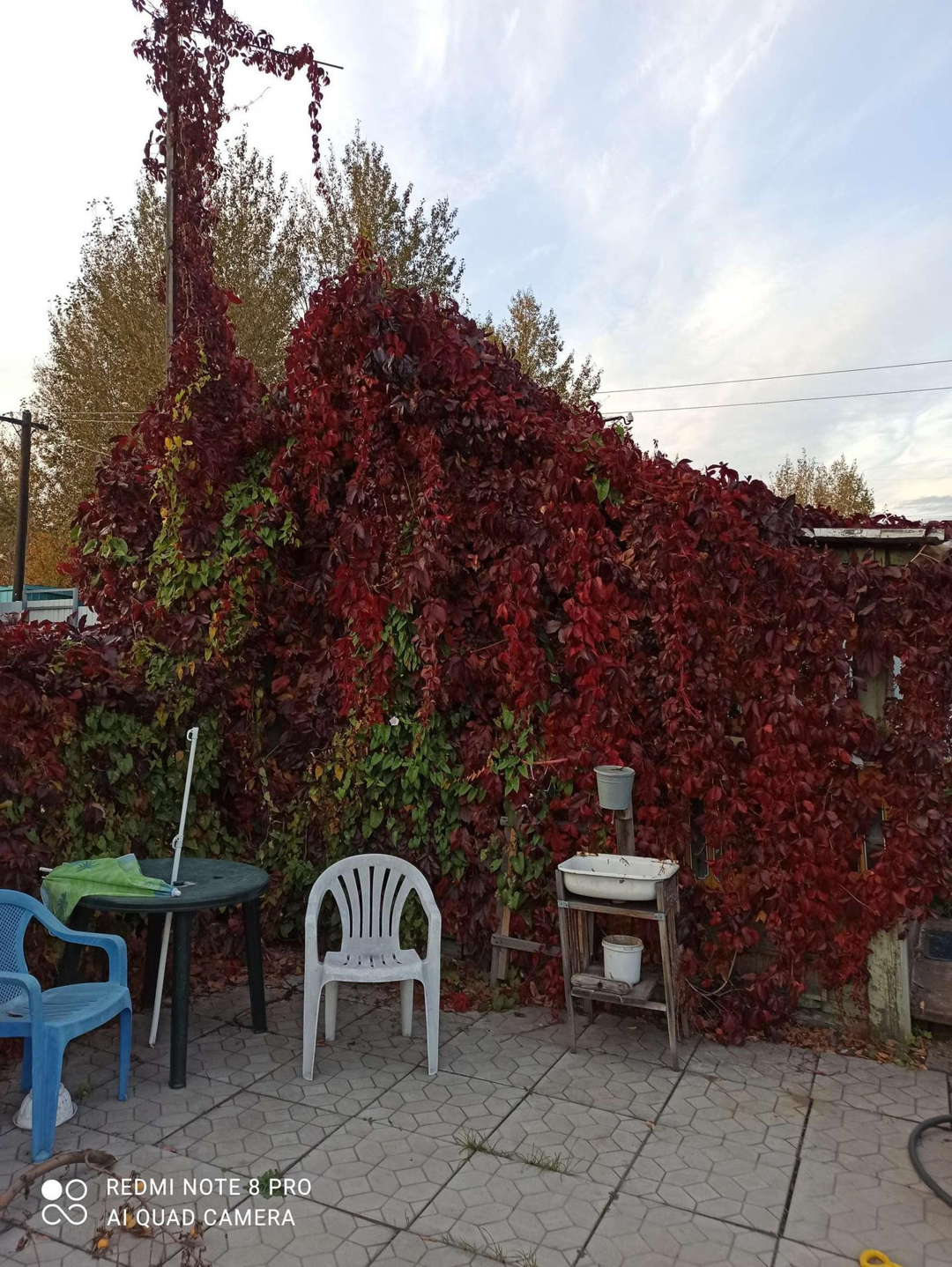 Купить Дачу В Днт Янтарь Екатеринбург