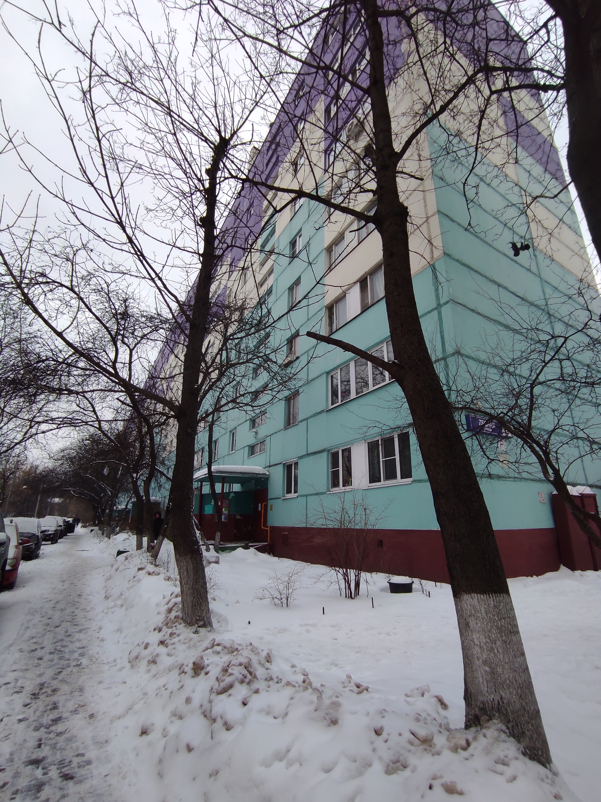 Реутов лесная. Реутовы дом. Ул. Почтовая 49