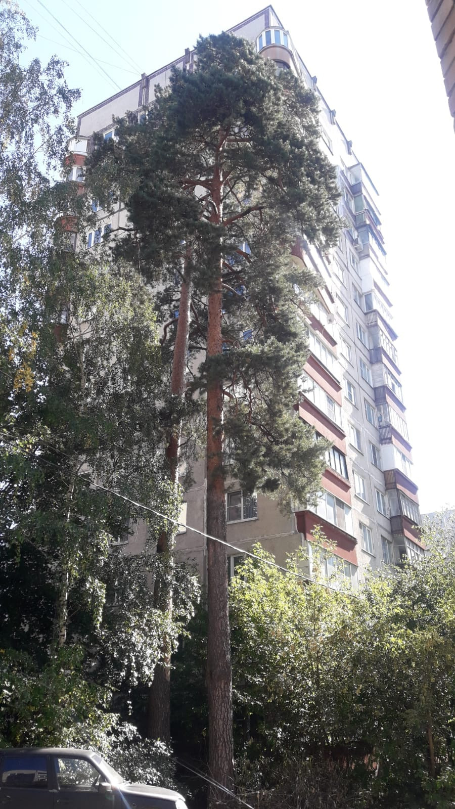 Жк Нижегородский Жуковский Купить