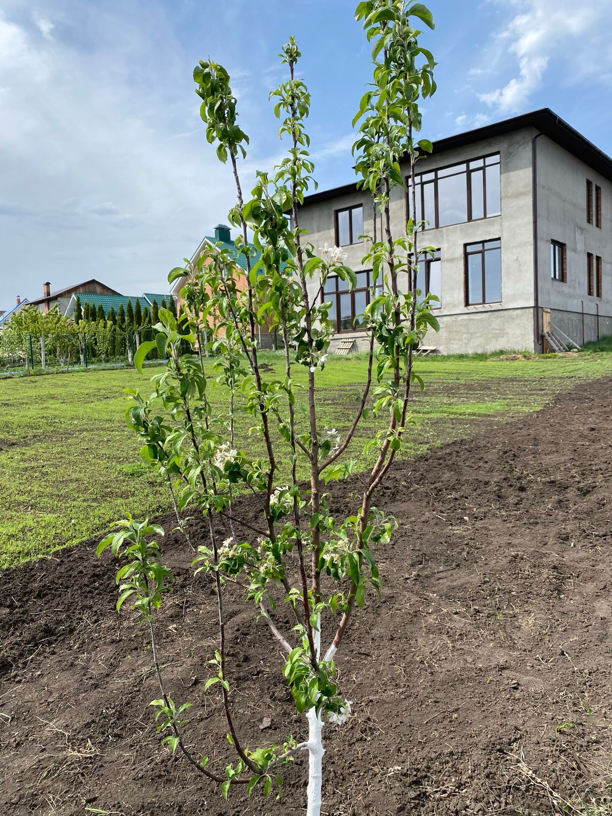 Купить Дом Пгт Северный Белгородский Район