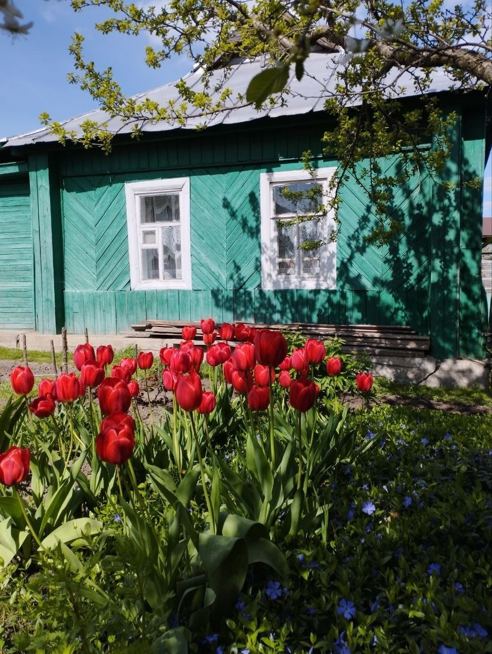 Слобода сельсовет