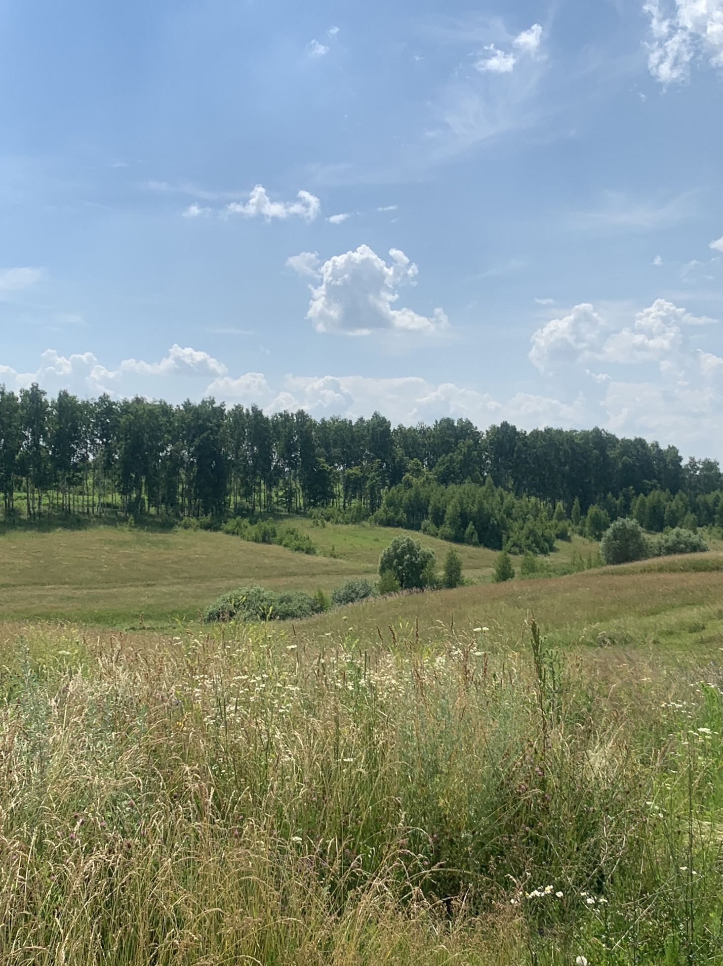 Купить Земельный Участок В Брянской Области