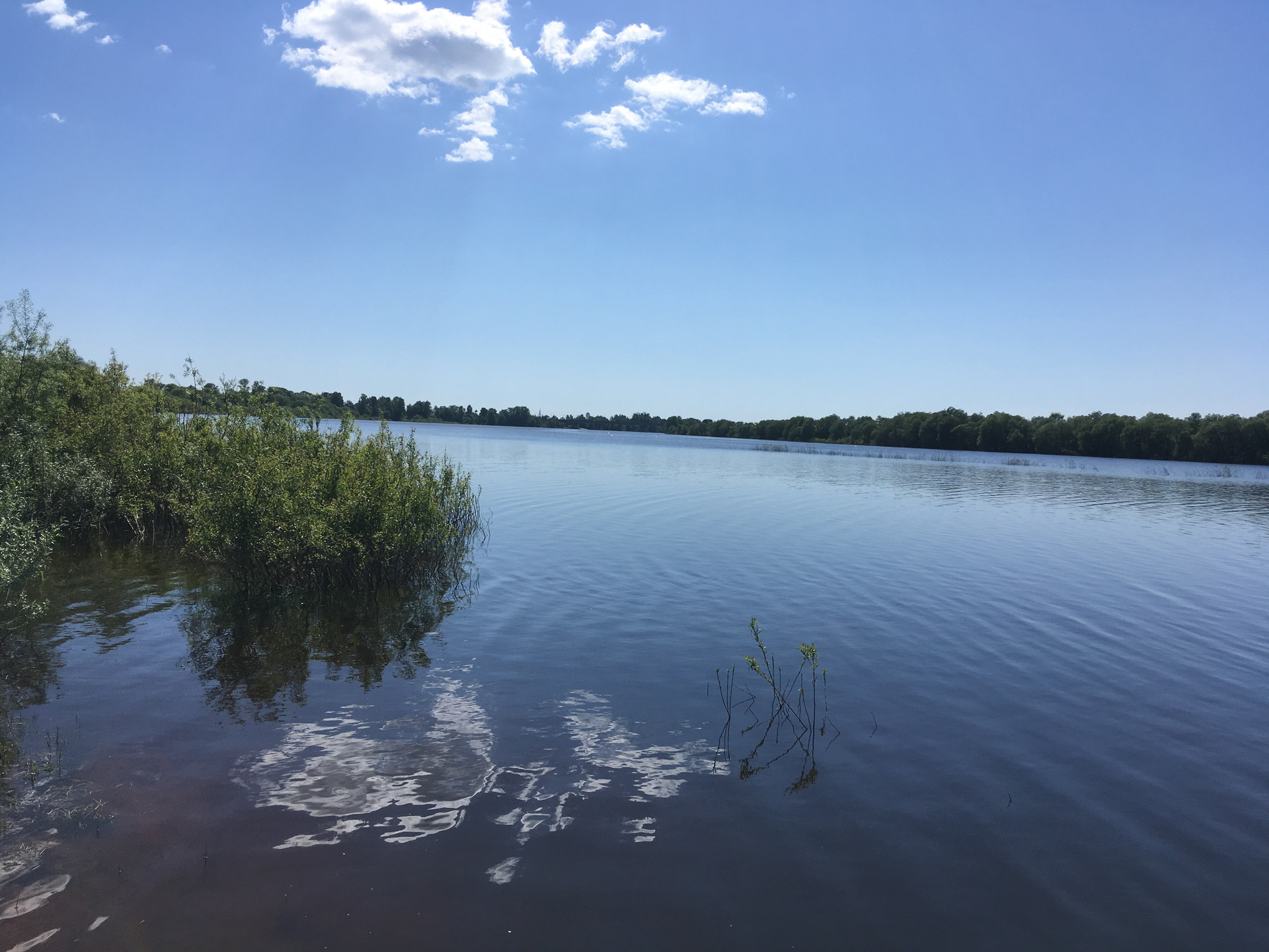 Купить Участок Новгородская Обл