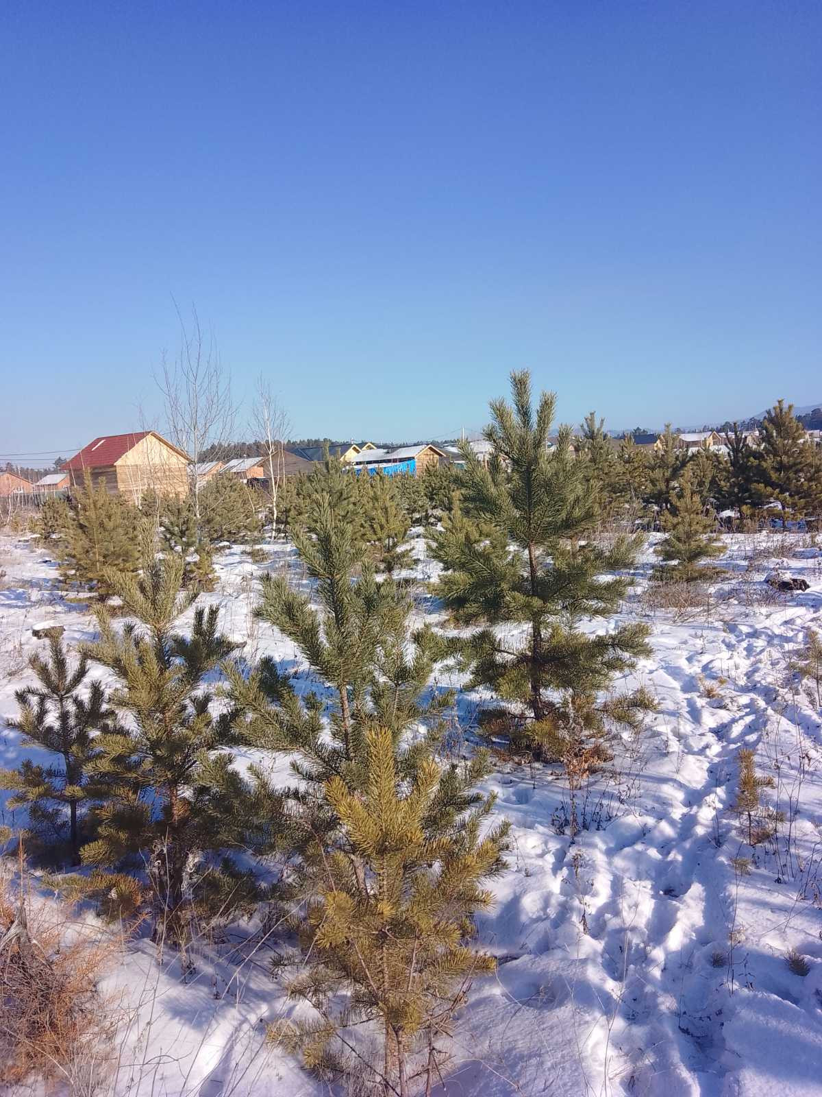 Купить Дом В Чите Смоленка Благодатный