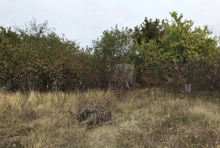 Купить Дом В С Вареновка Неклиновского