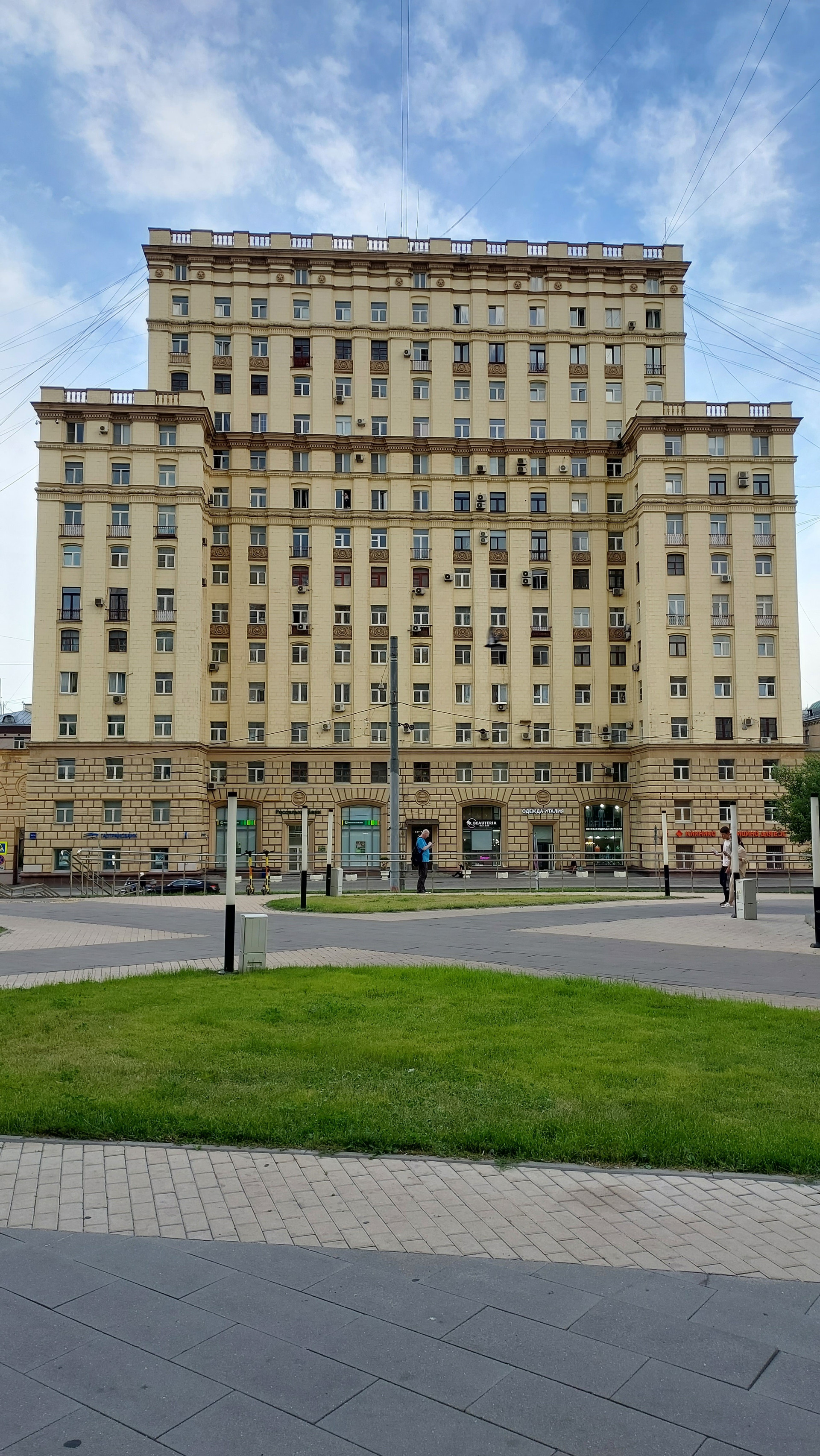 Эхинацея верхняя красносельская ул 1