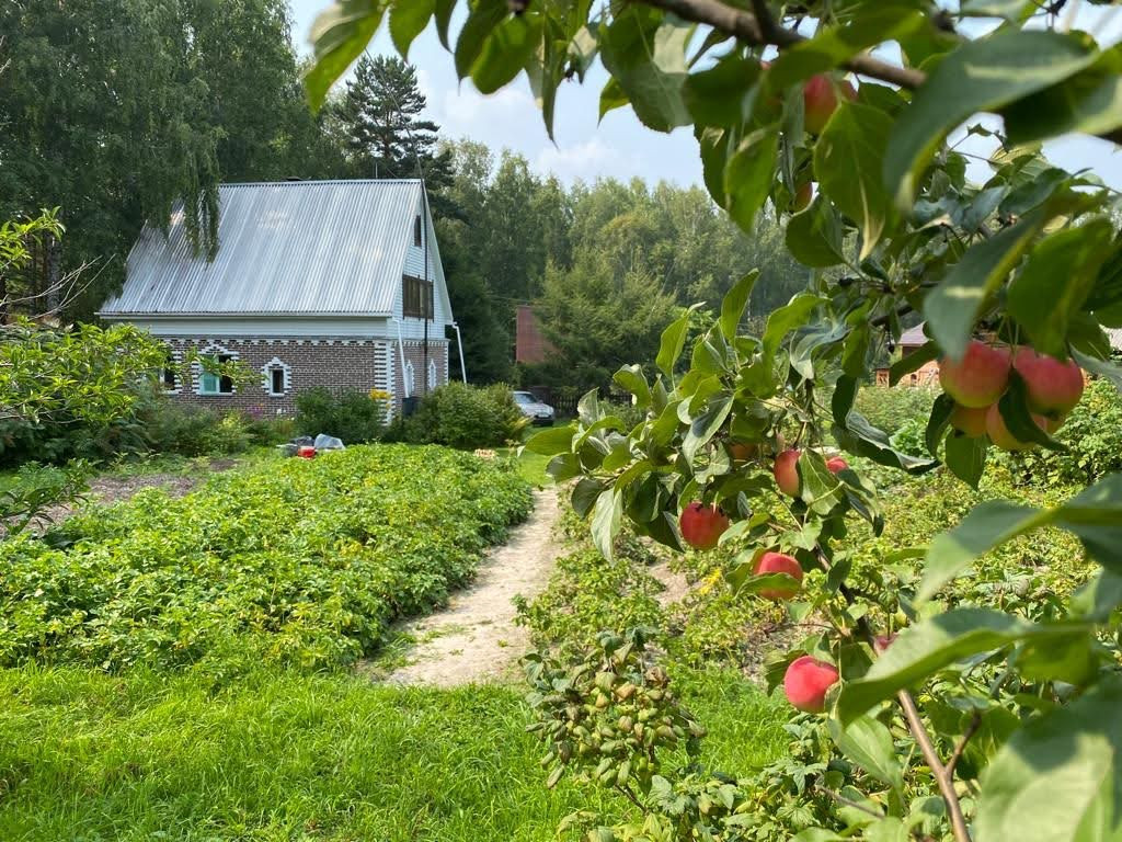 Купить Дачу В Орловке Томская Область