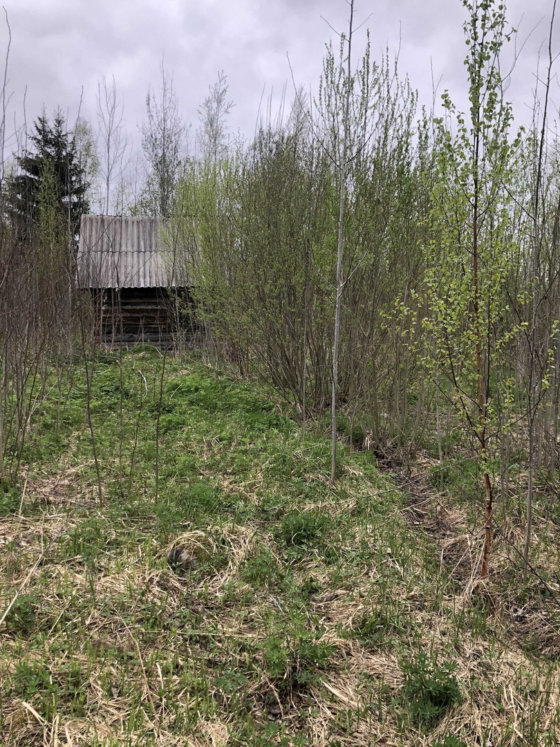 Погода в радофинниково ленинградская область. Радофинниково Ленинградская область. СНТ Строитель массив Радофинниково. Радофинниково. Радофинниково Тосно