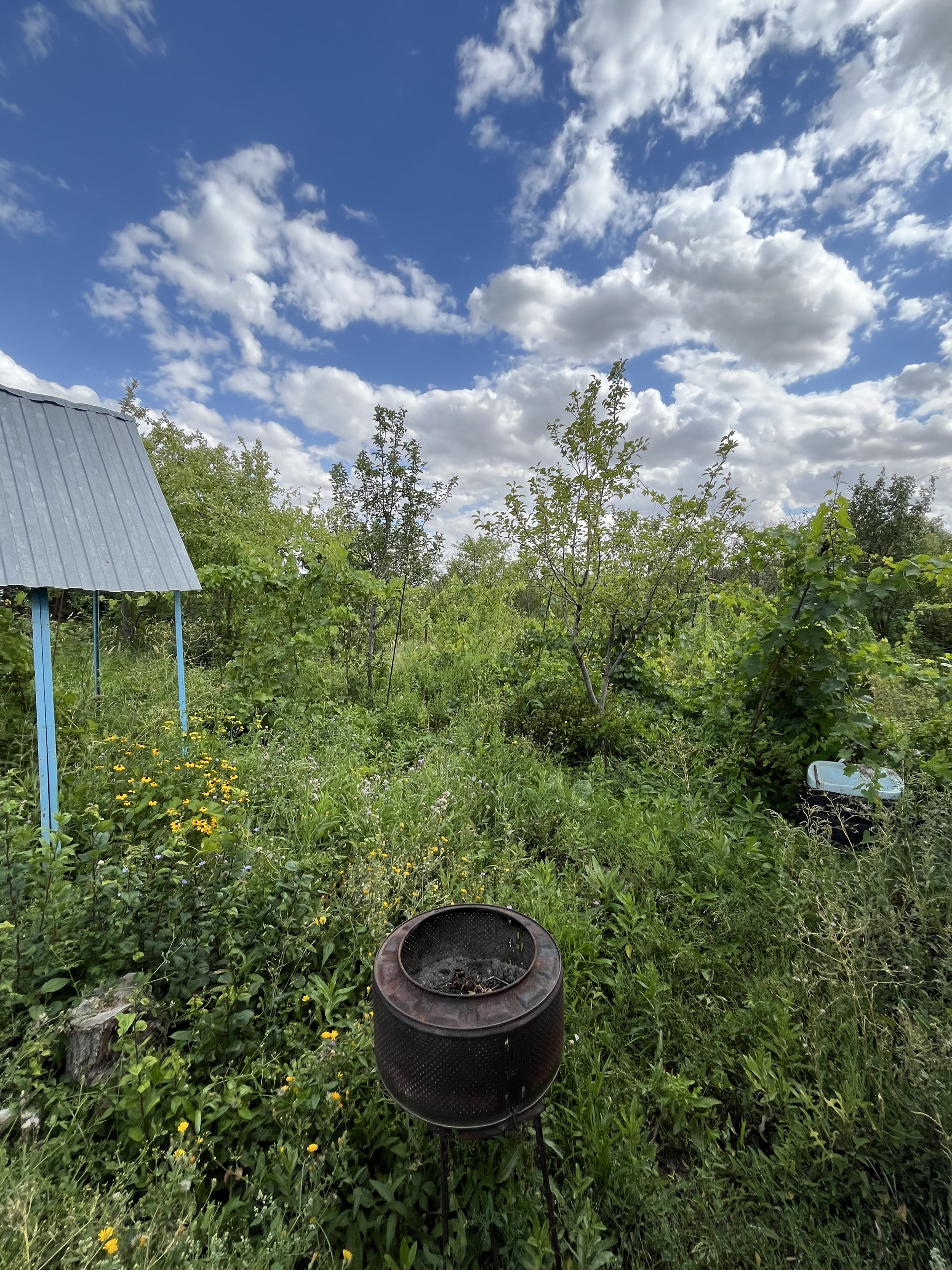 Купить Участок Снт Янтарь