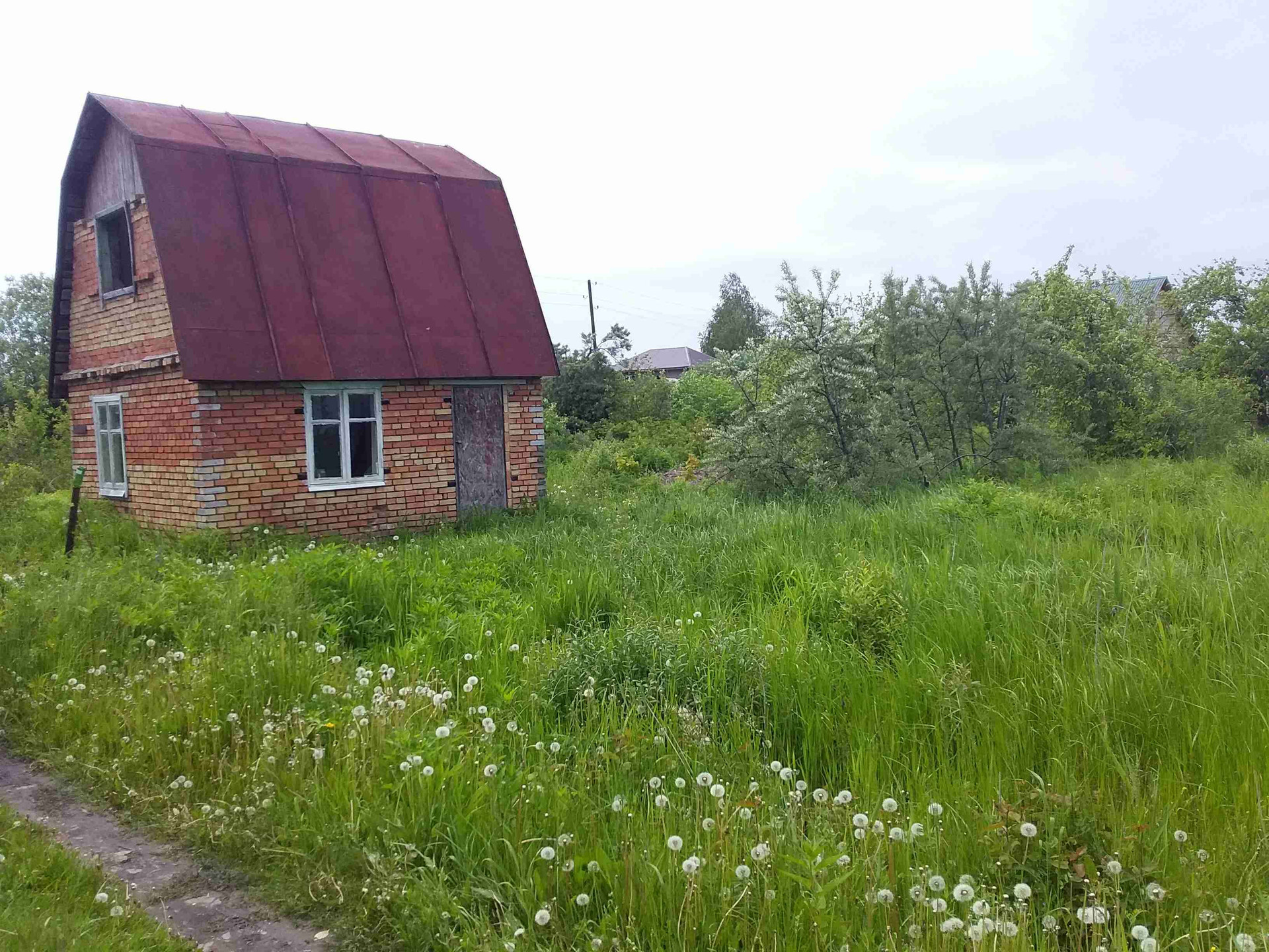 Коттеджный поселок камыши. Ступино, снт камыши. Московская обл. Снт камыши. Курск снт камыши.