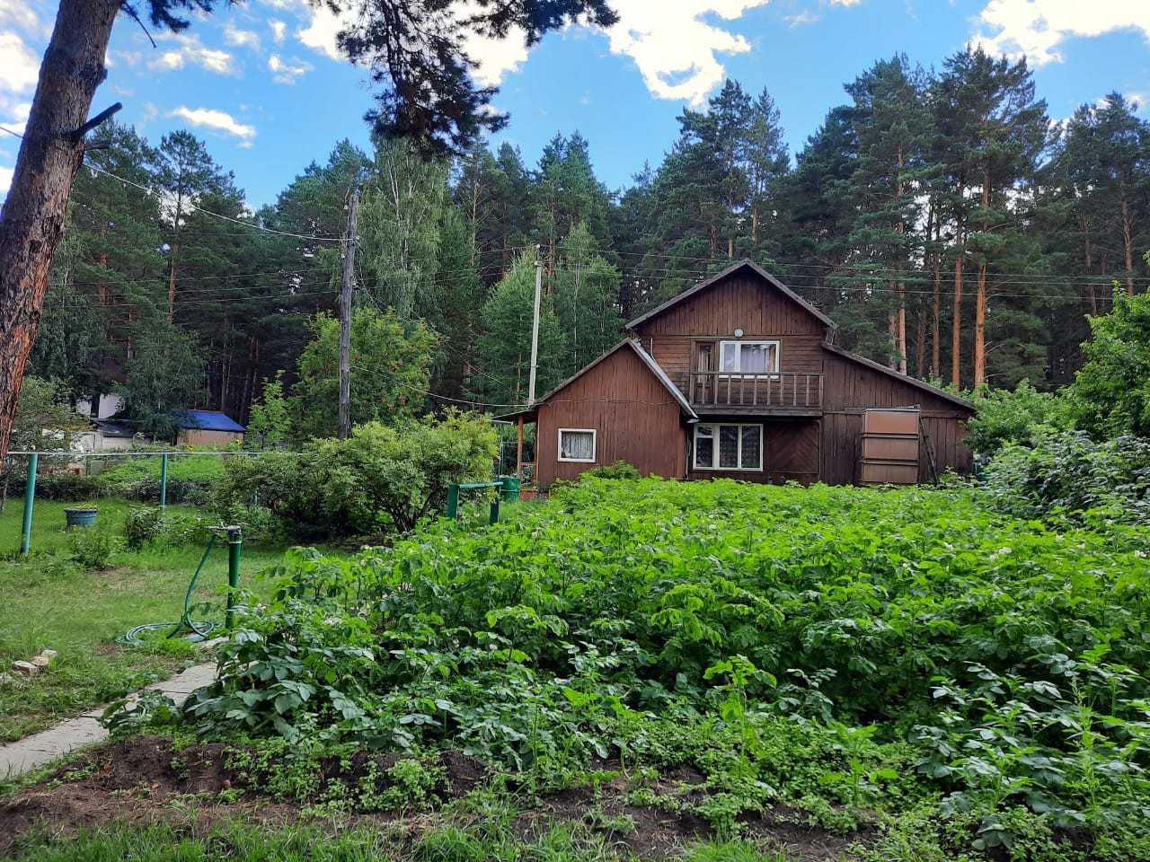 Дачи в бережке. Деревня Степановское Красногорский район дача. СНТ Росинка Московская область Новорижское шоссе. СНТ Росинка Красногорский район. МЖК Росинка Красногорский район.