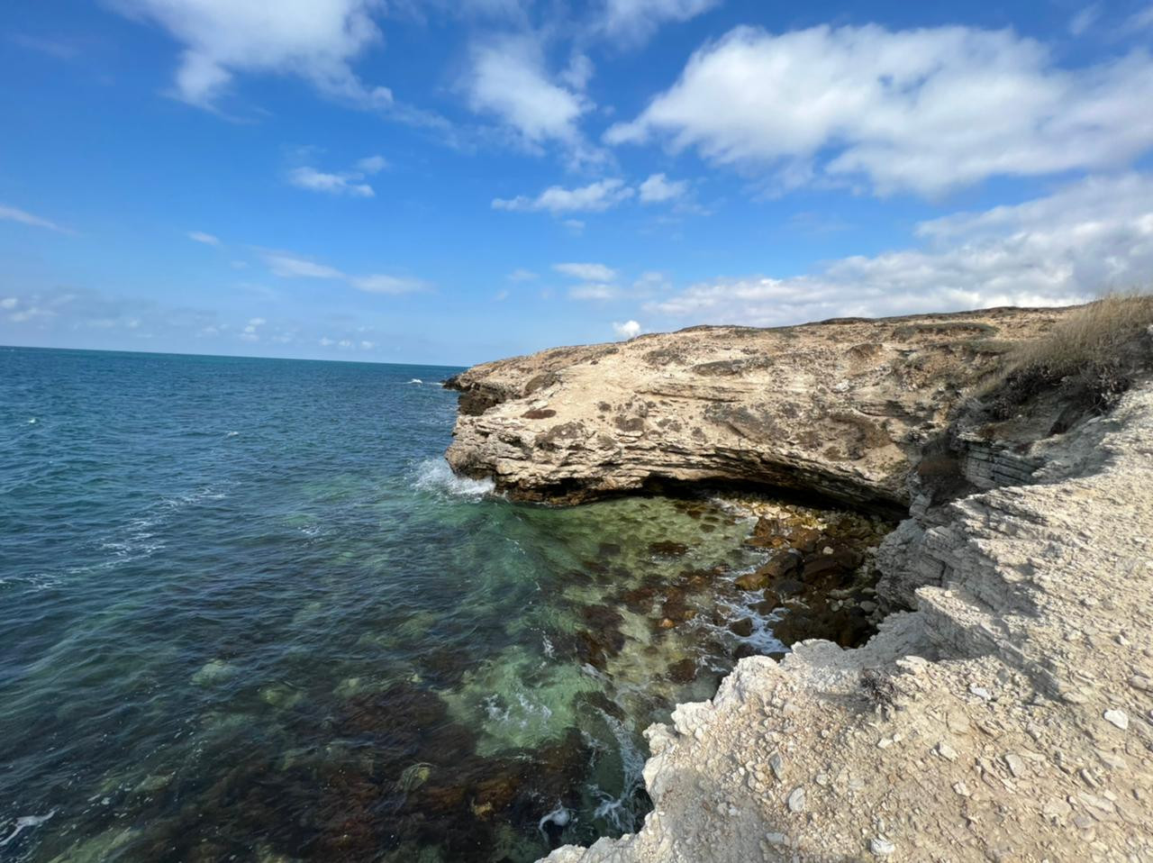 Какая вода в черном море в крыму. Межводное Крым. Кит Черноморское Крым.