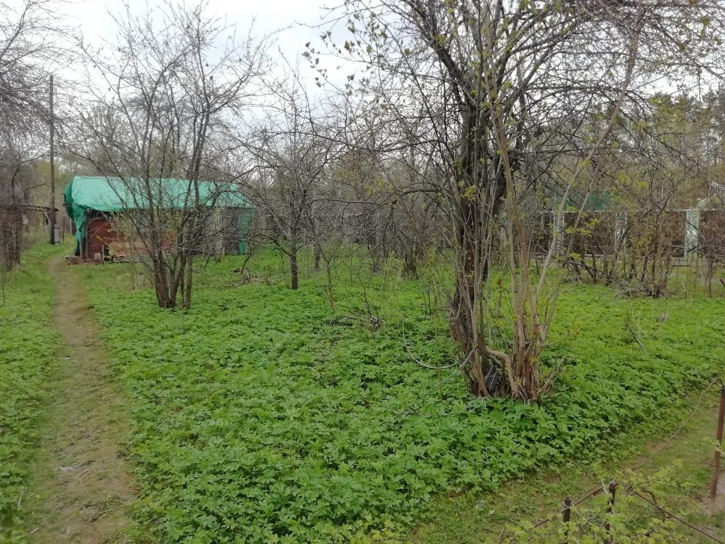 Земельный участок в королев. СНТ энергия-2 Королев.