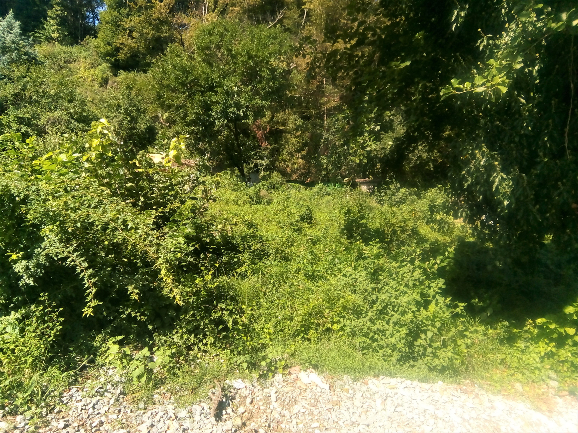 Купить Участок В Сочи Пластунка