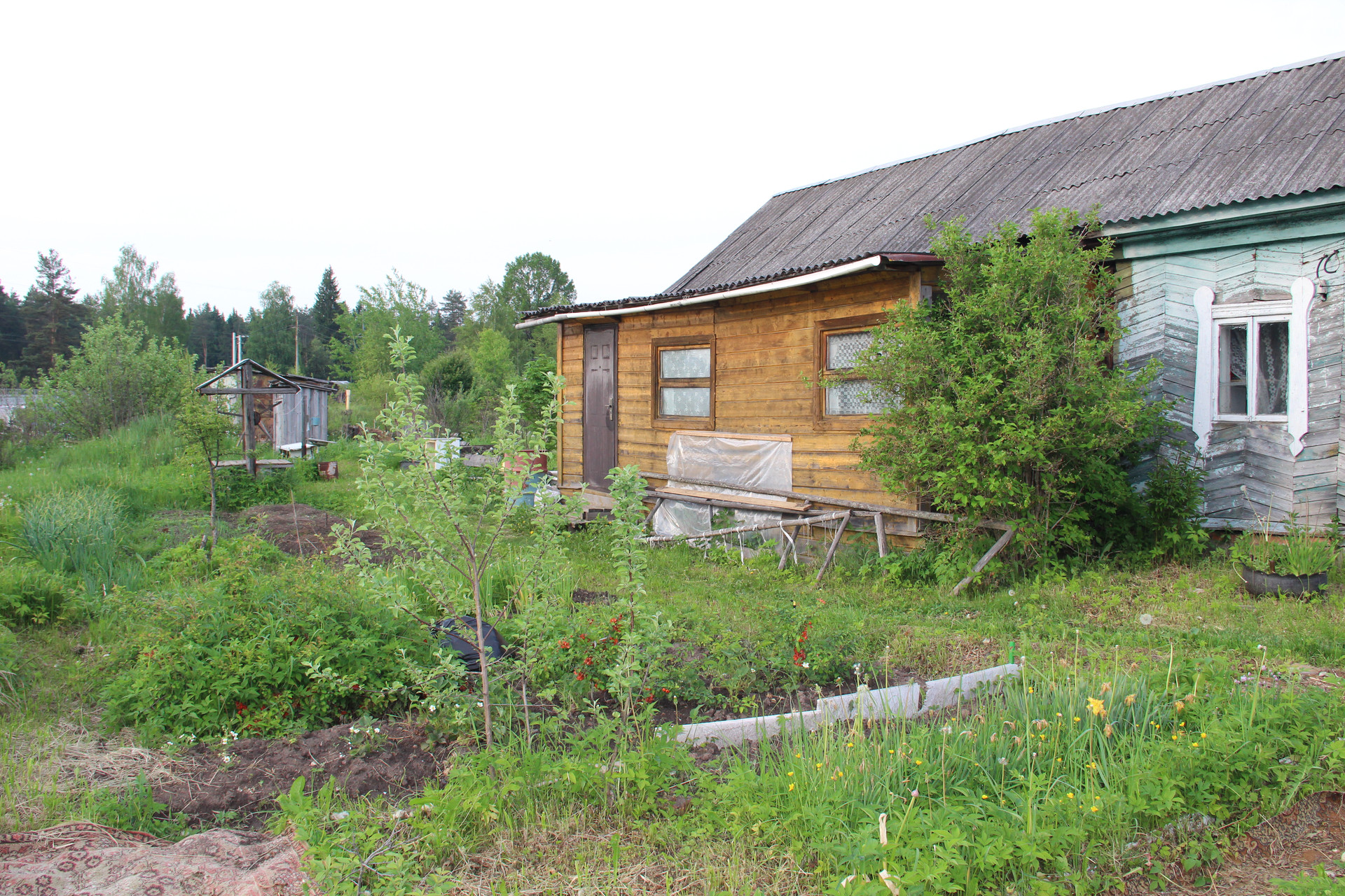 Купить дом, 22.2 м² по адресу Ярославский район, Курбское сельское  поселение, посёлок Козьмодемьянск, Лесная улица, 45 за 1 000 000 руб. в  Домклик — поиск, проверка, безопасная сделка с жильем в офисе Сбербанка.