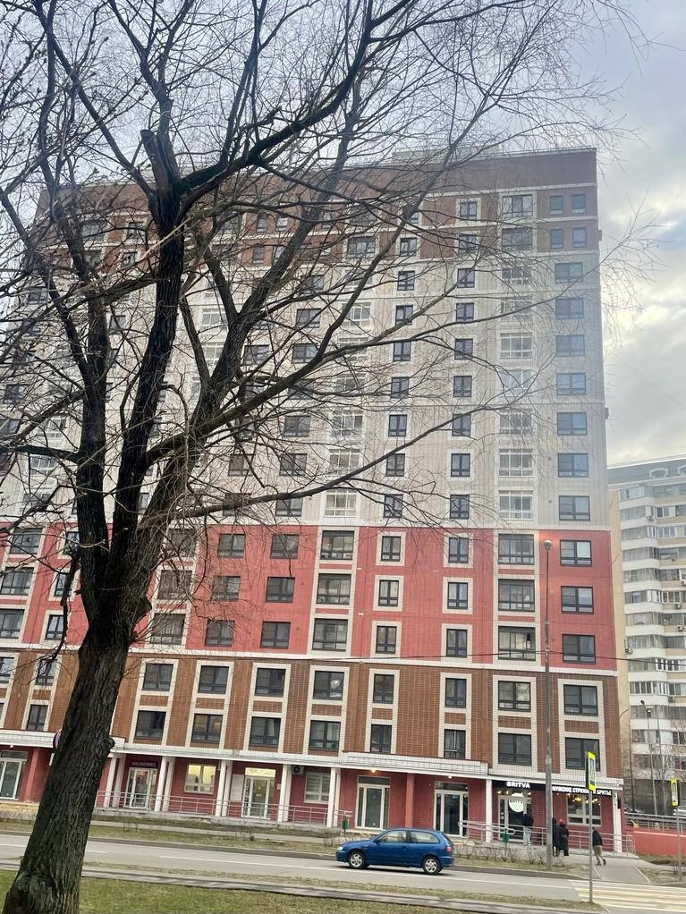 Москва, Заревый проезд, 9 - Vista 2