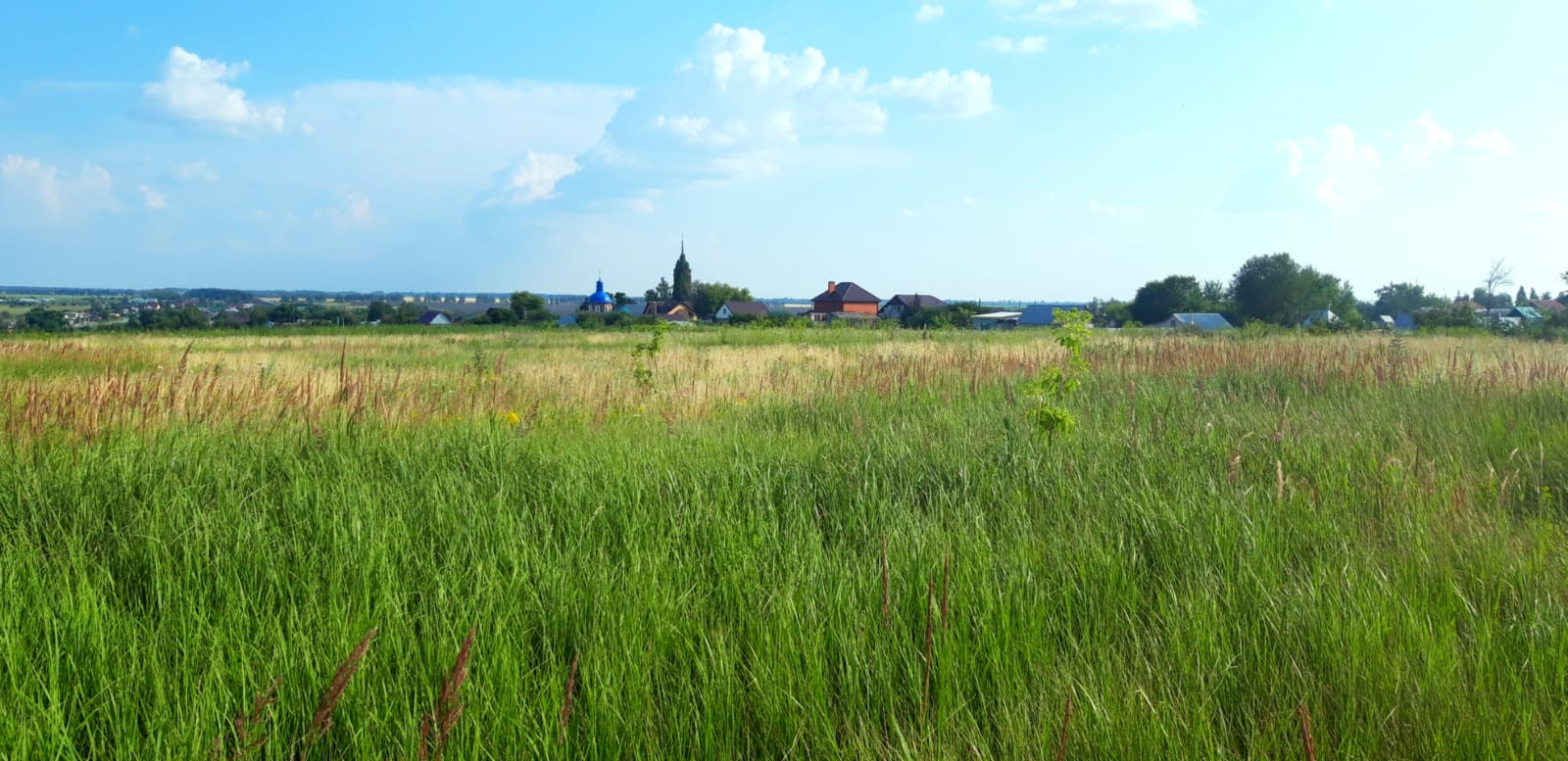 Село сухая лубна. Сухая Лубна Липецкая область. Каменная Лубна. Школа сухая Лубна Липецкая область. Школа с сухая Лубна Липецкого района.