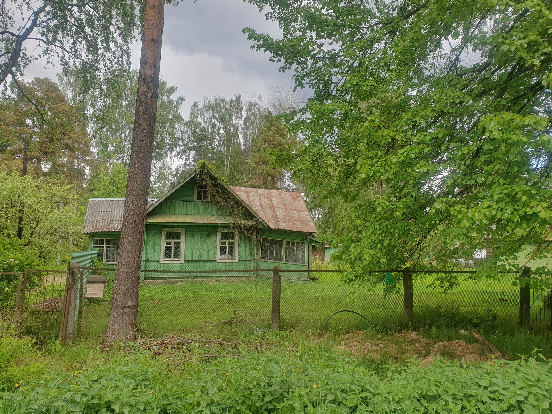 Вырица Купить Дом С Участком Недорого