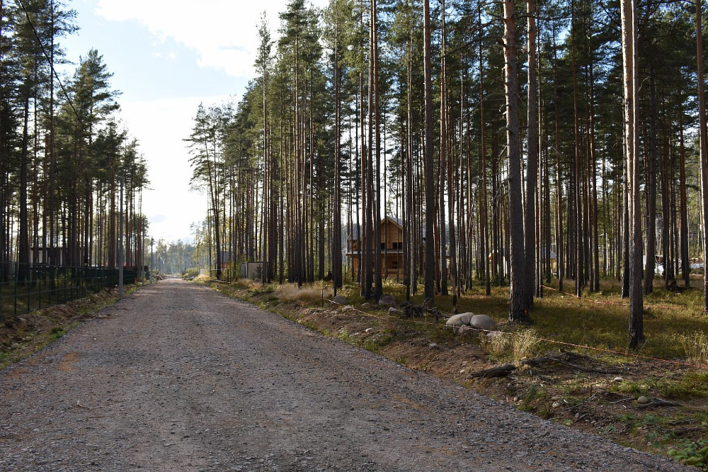 Карты выборг пальцево снт локомотив 2. Коробицыно ленинградская область фото поселка. Поселок селезнево выборгский. Дома в выборгском районе. Ленинградская обл выборгский р он.