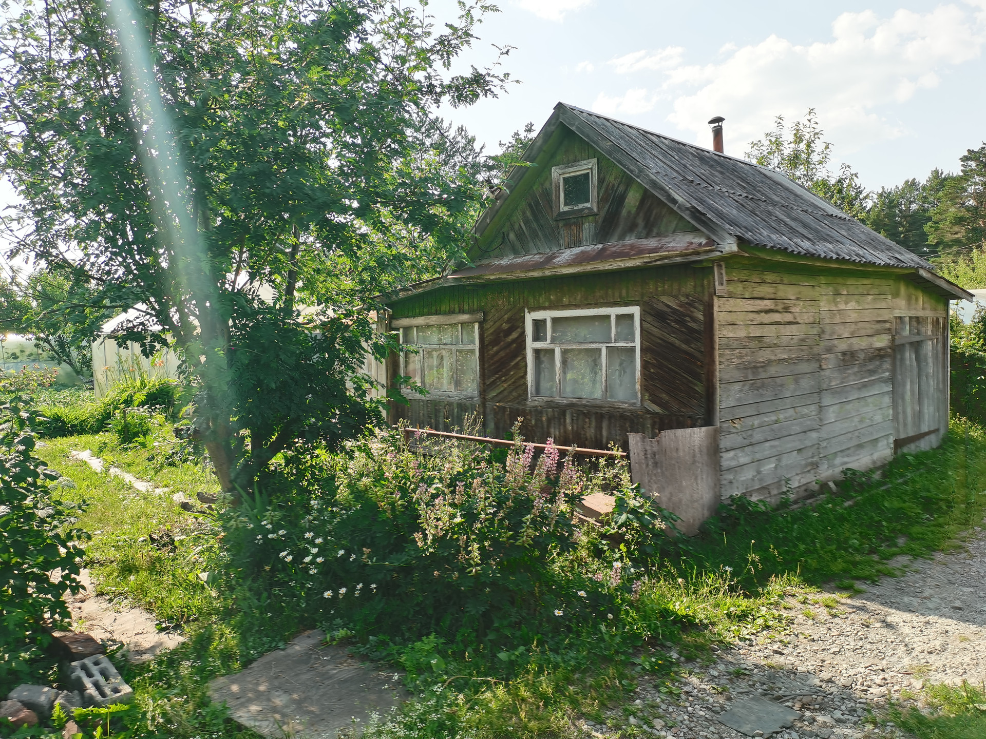 Купить Сад В Ревде Свердловской Области Недорого