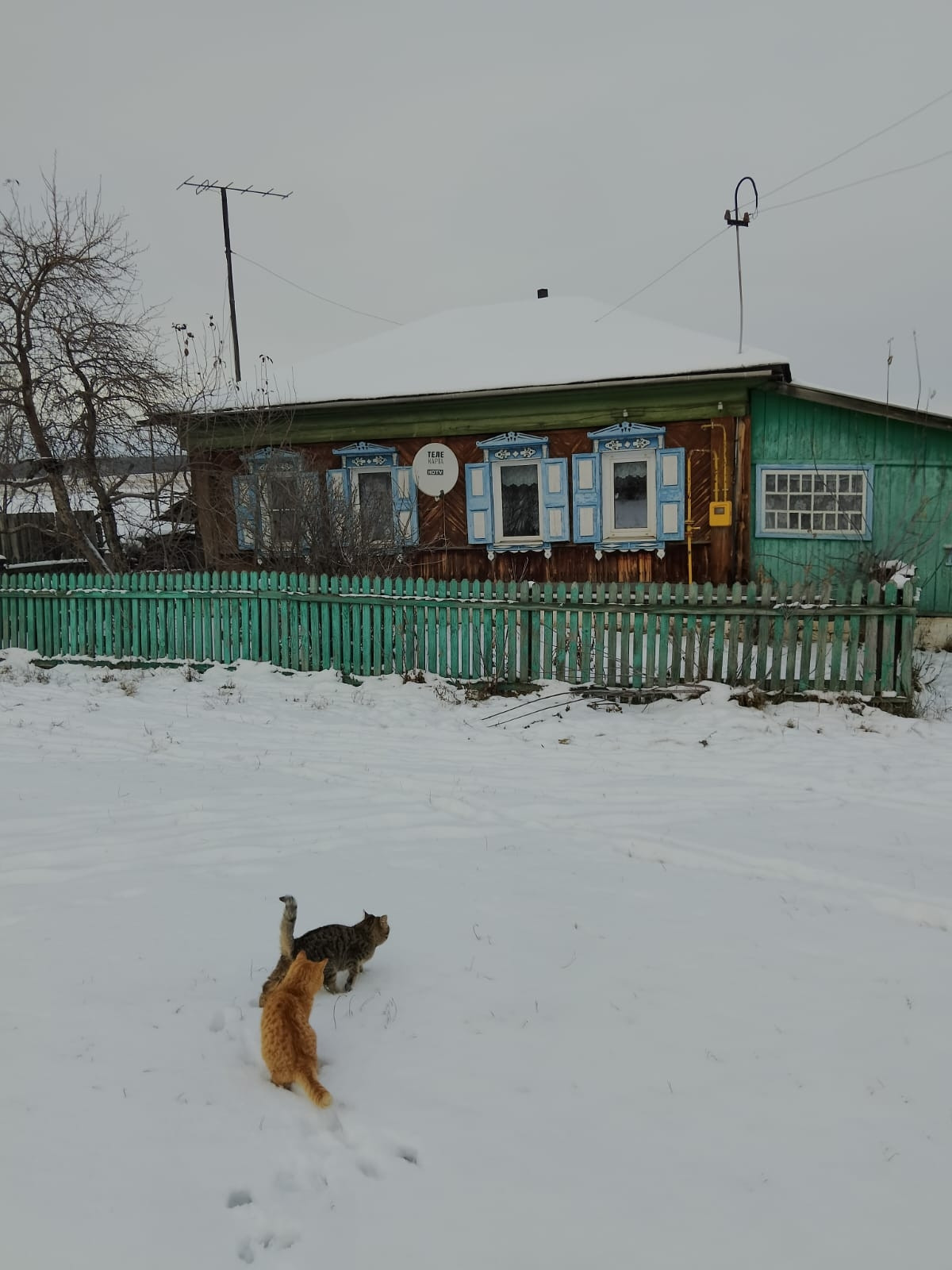 Купить дом, 59 м² по адресу Челябинская область, Уйский район, Соколовское  сельское поселение, село Соколовское, Партизанская улица, 47 за 600 000  руб. в Домклик — поиск, проверка, безопасная сделка с жильем в офисе  Сбербанка.