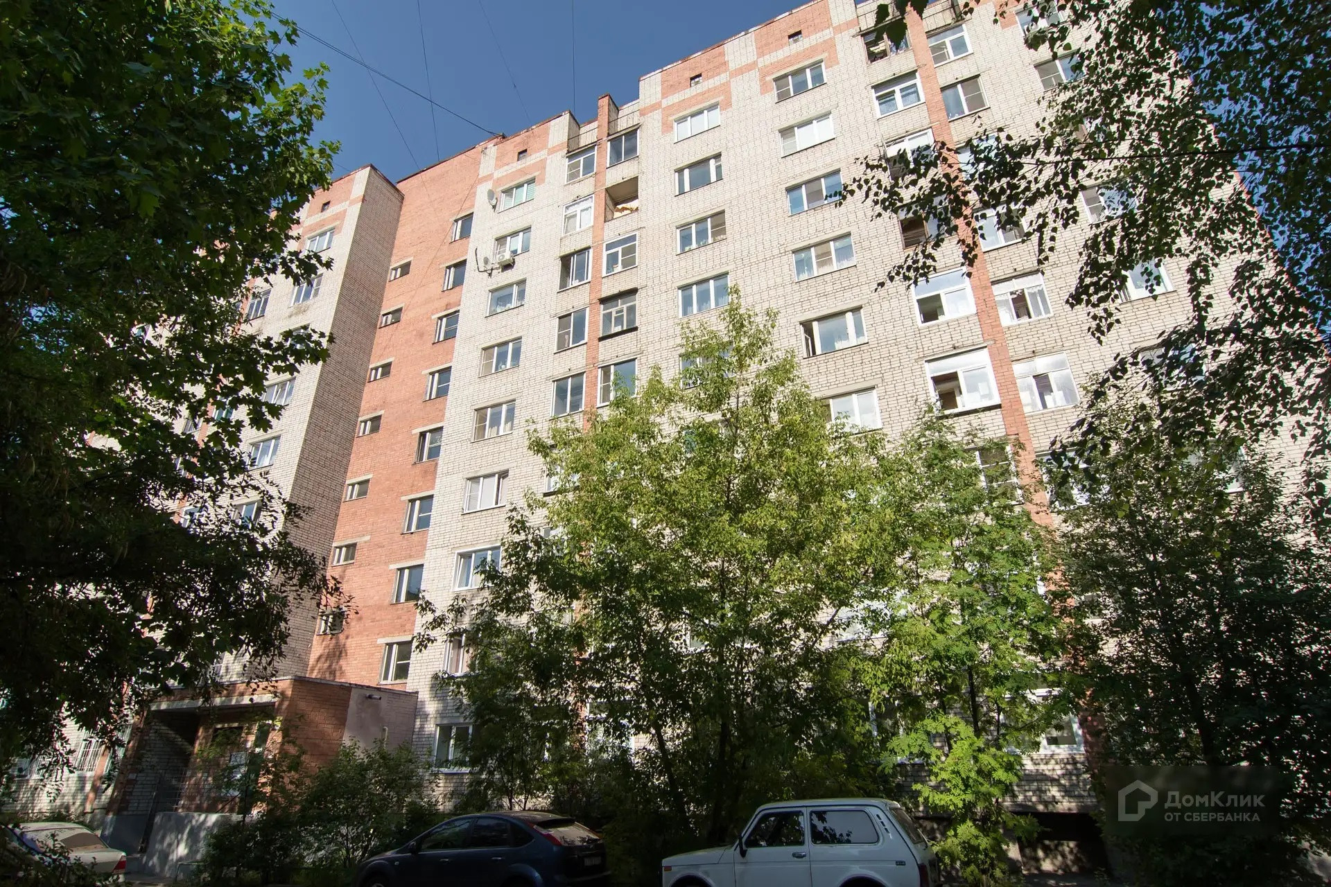 Суздалка Ярославль Купить