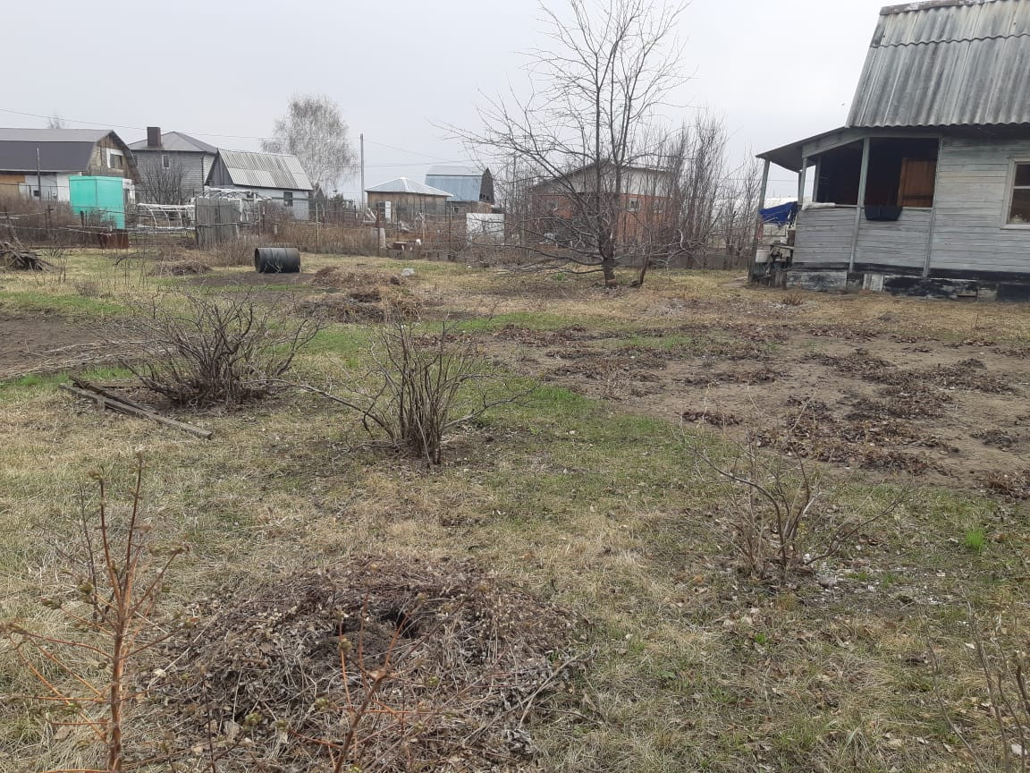 Купить дом, 25 м² по адресу Новосибирская область, Бердск, садовое ...