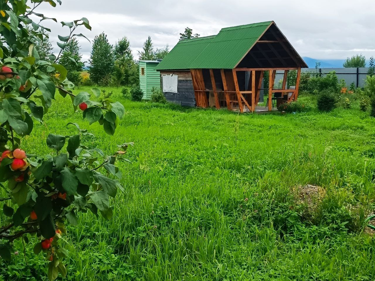 Хабаровский Край Село Мичуринское Купить Дом