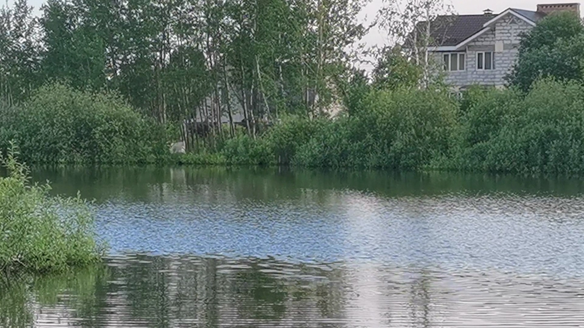 Купить Дом В Домодедово Микрорайон Северный