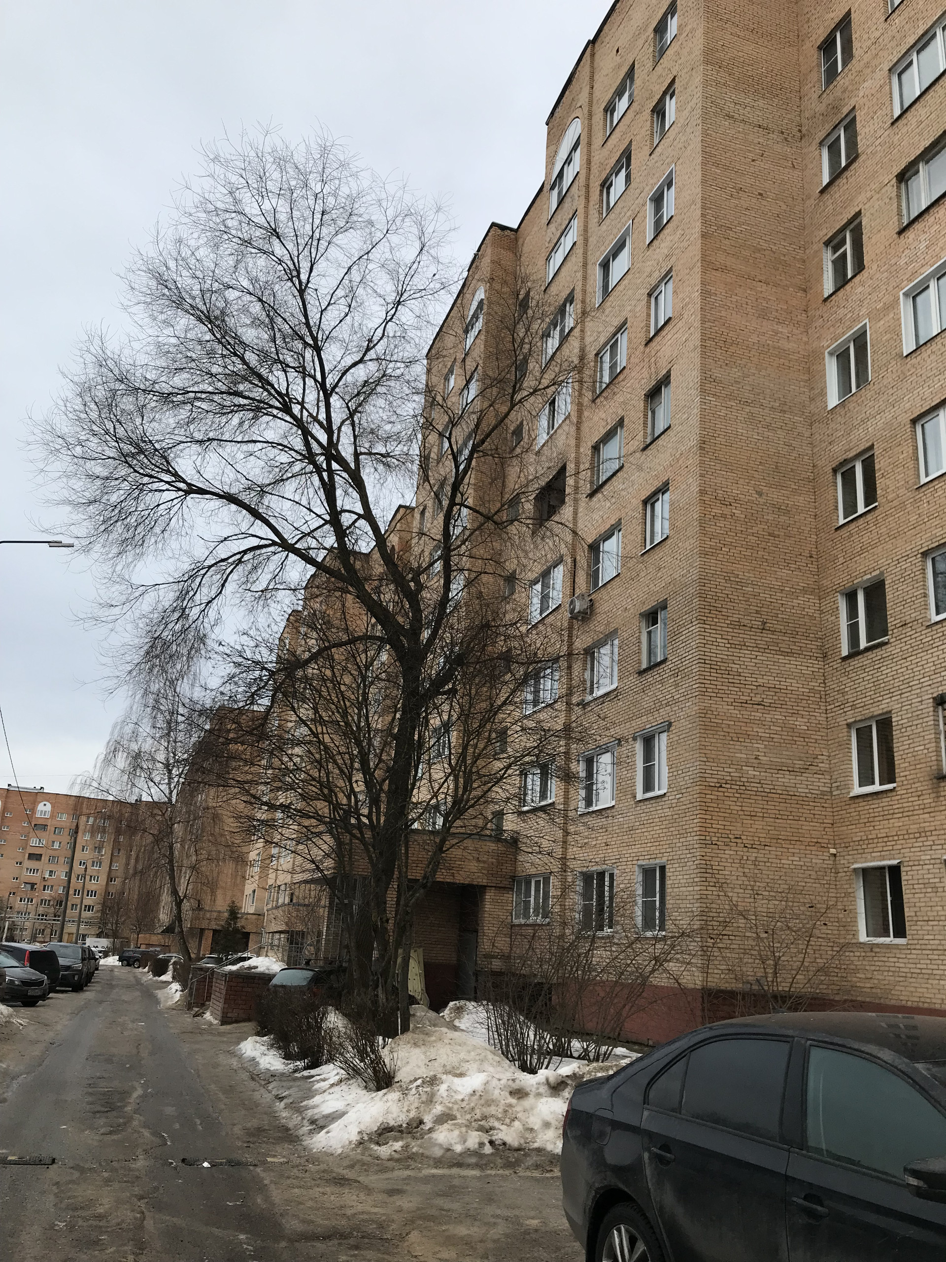 Купить 3-комнатную квартиру, 60 м² по адресу Московская область, городской  округ Серпухов, посёлок Оболенск, проспект Биологов, 1, 2 этаж за 6 300 000  руб. в Домклик — поиск, проверка, безопасная сделка с жильем в офисе  Сбербанка.