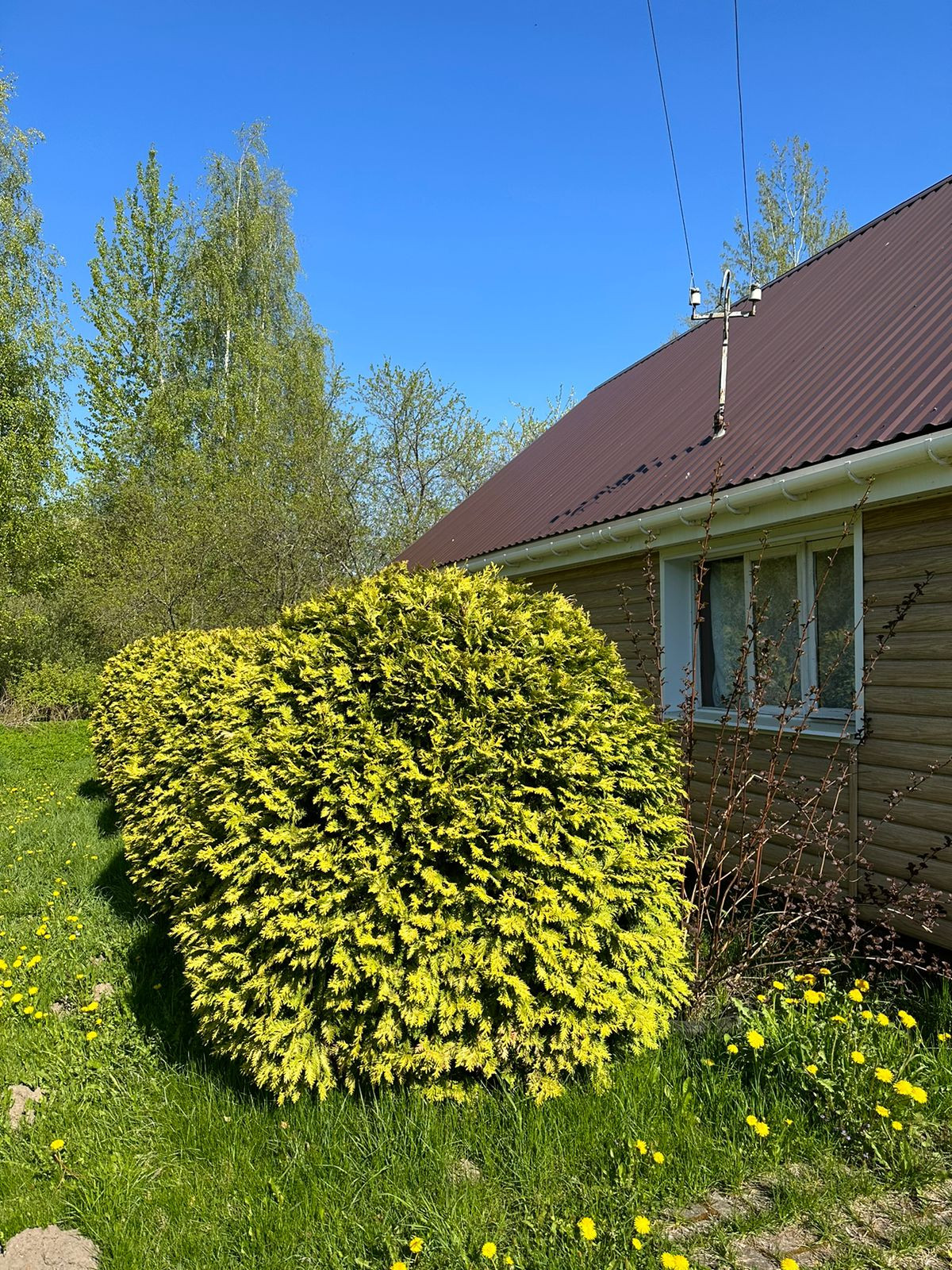 Купить Дачу В Пскове Пристань 2