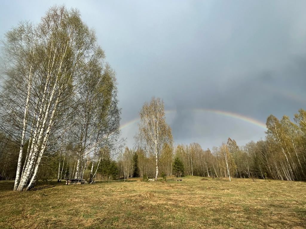 Купить Участок Новгородская Обл